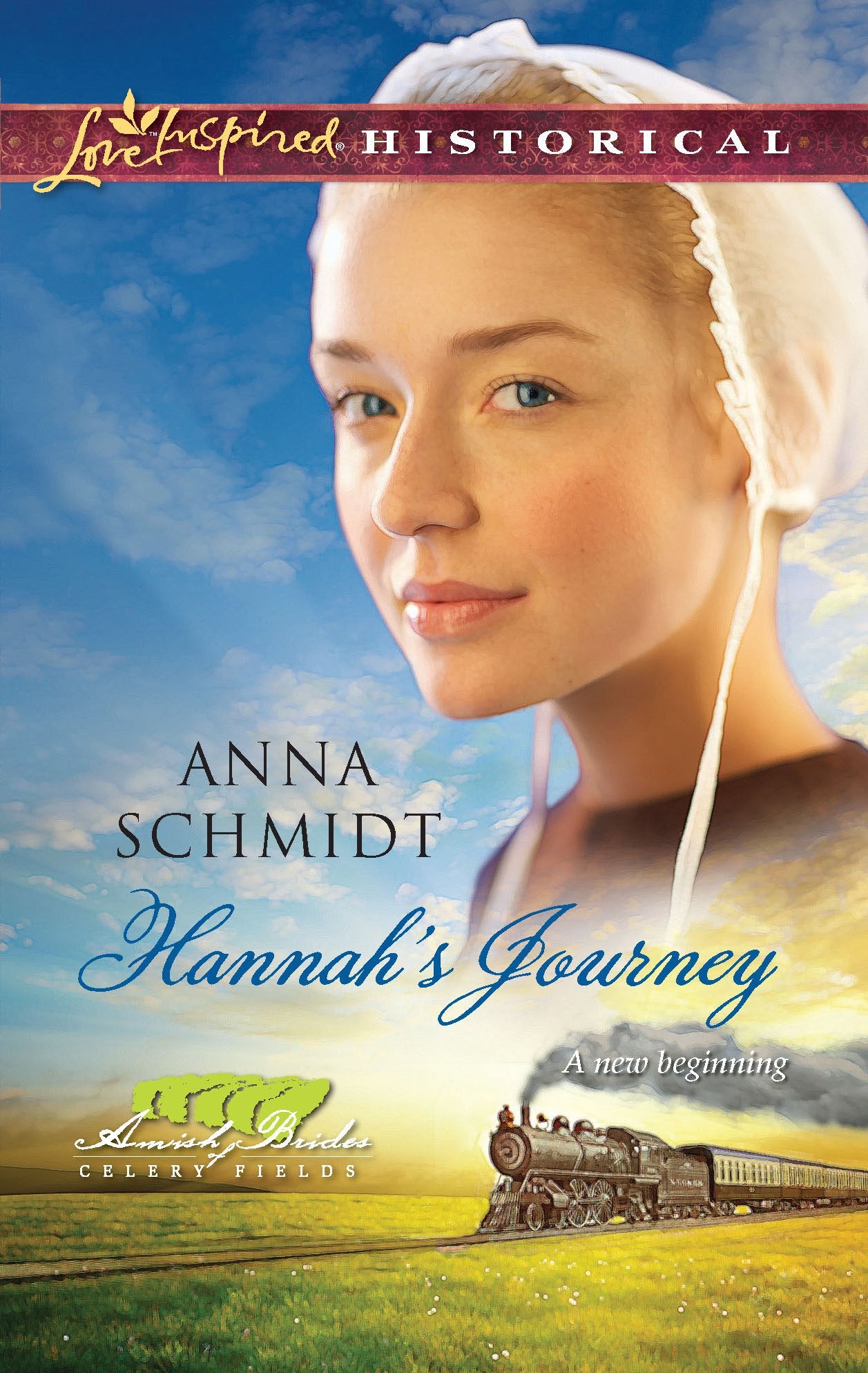 Hannah's Journey (Amish Brides of Celery Fields, 1),Used