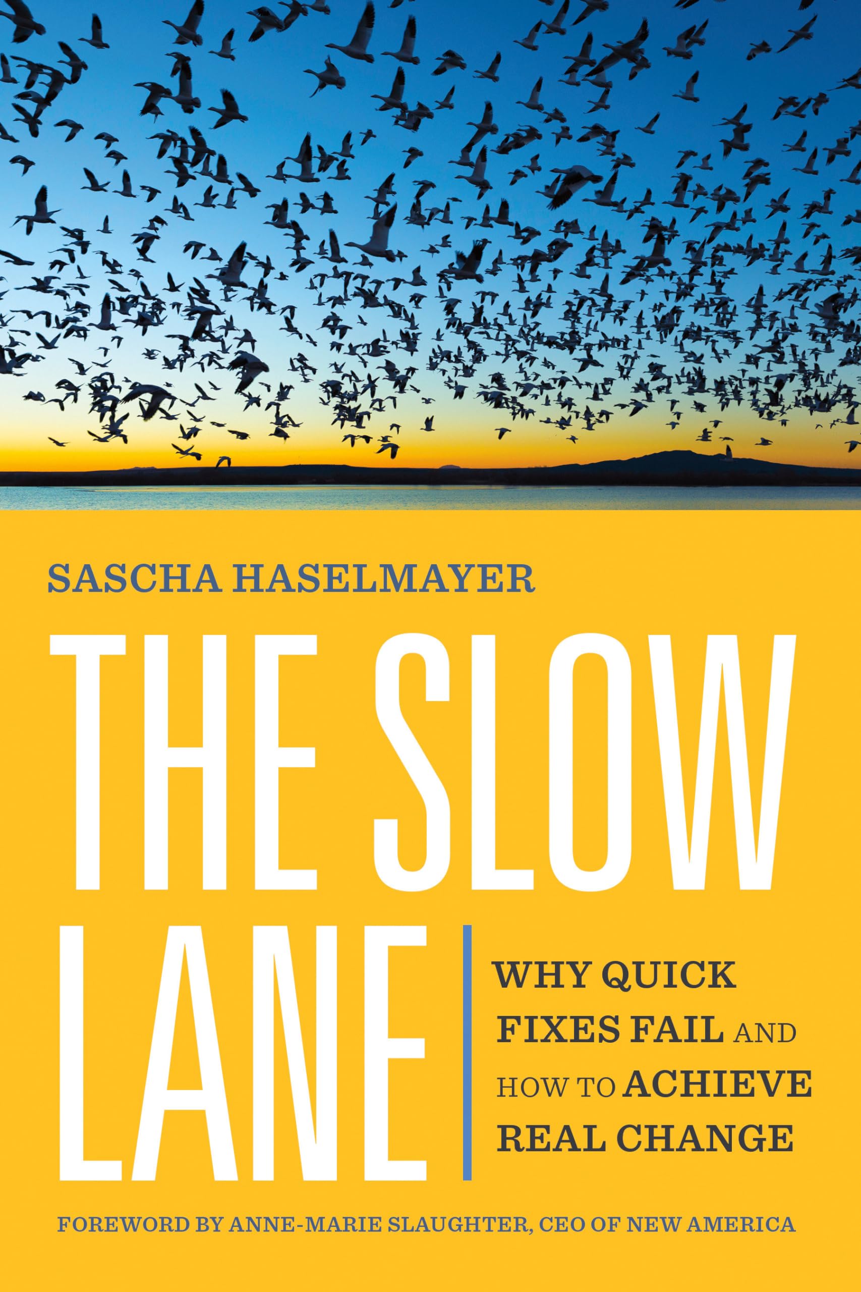 The Slow Lane: Why Quick Fixes Fail And How To Achieve Real Change,New