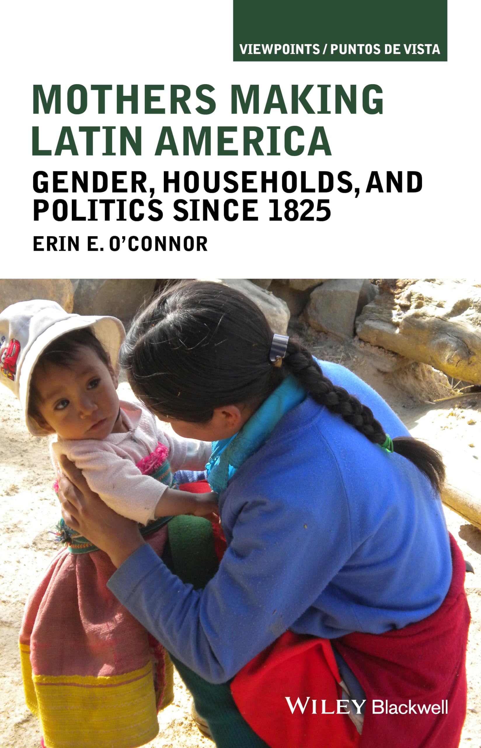 Mothers Making Latin America: Gender, Households, and Politics Since 1825 (Viewpoints / Puntos de Vista),Used
