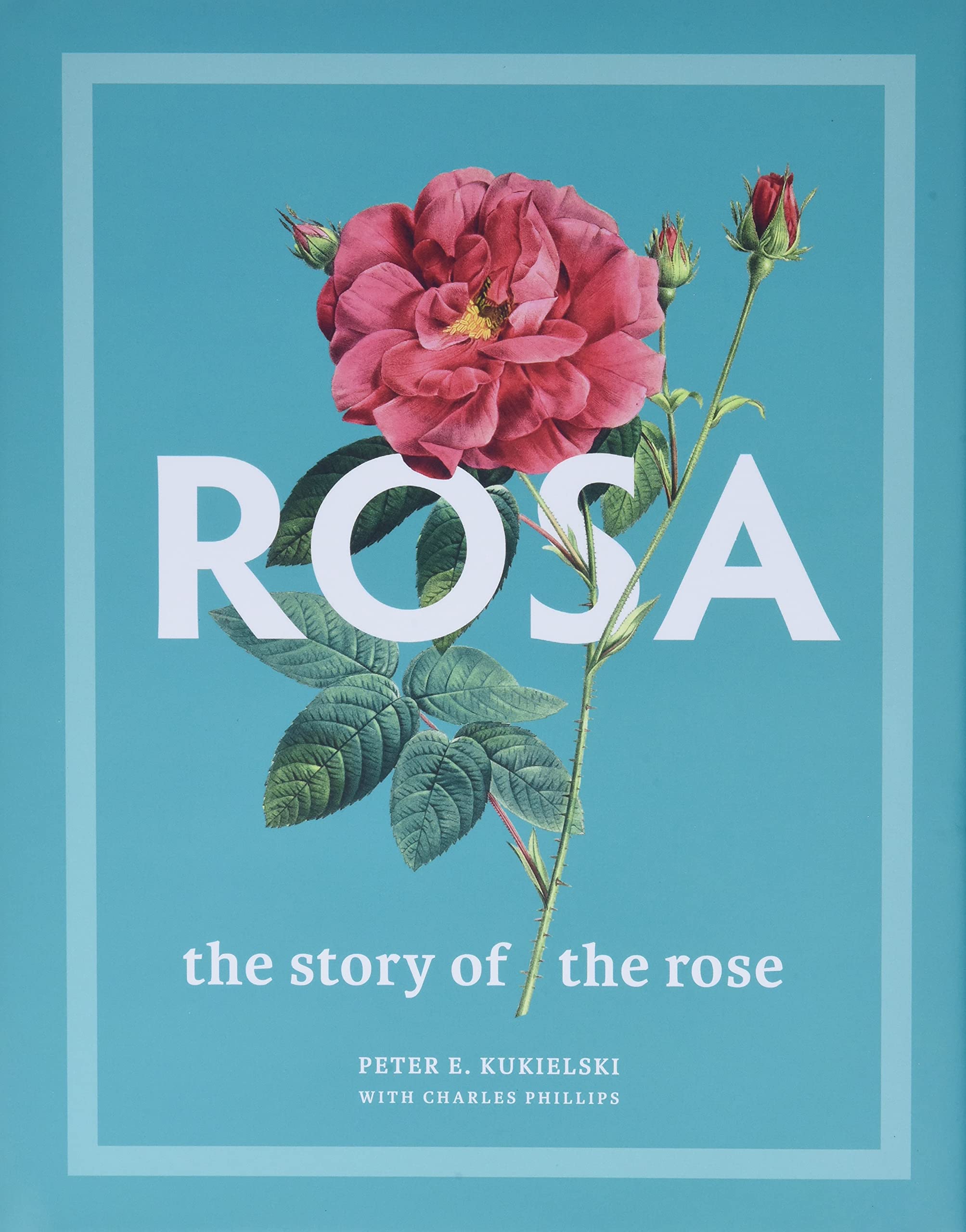 Rosa: The Story of the Rose,Used