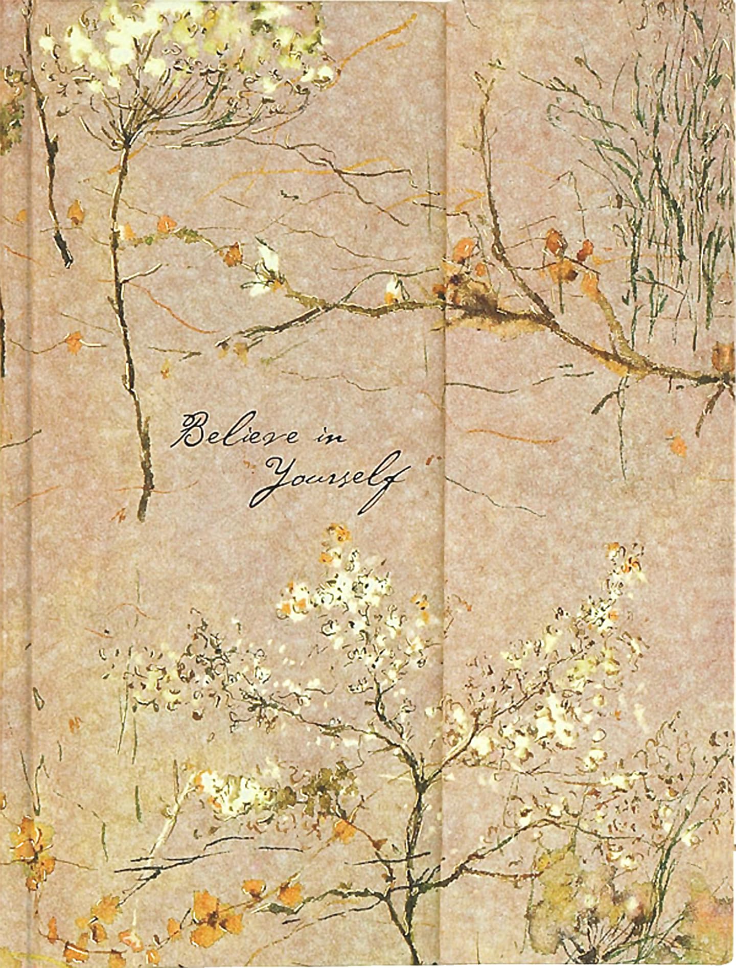 PETER PAUPER PRESS Believe in Yourself Journal (Magnetic flap closure),Used