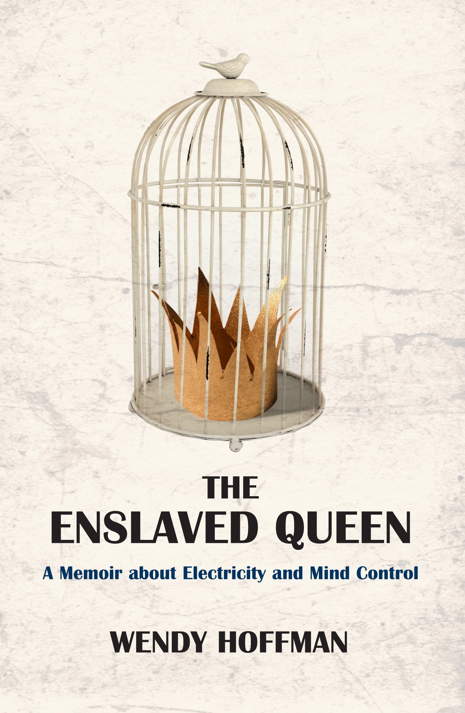 The Enslaved Queen: A Memoir About Electricity and Mind Control (Fiction / Poetry),Used