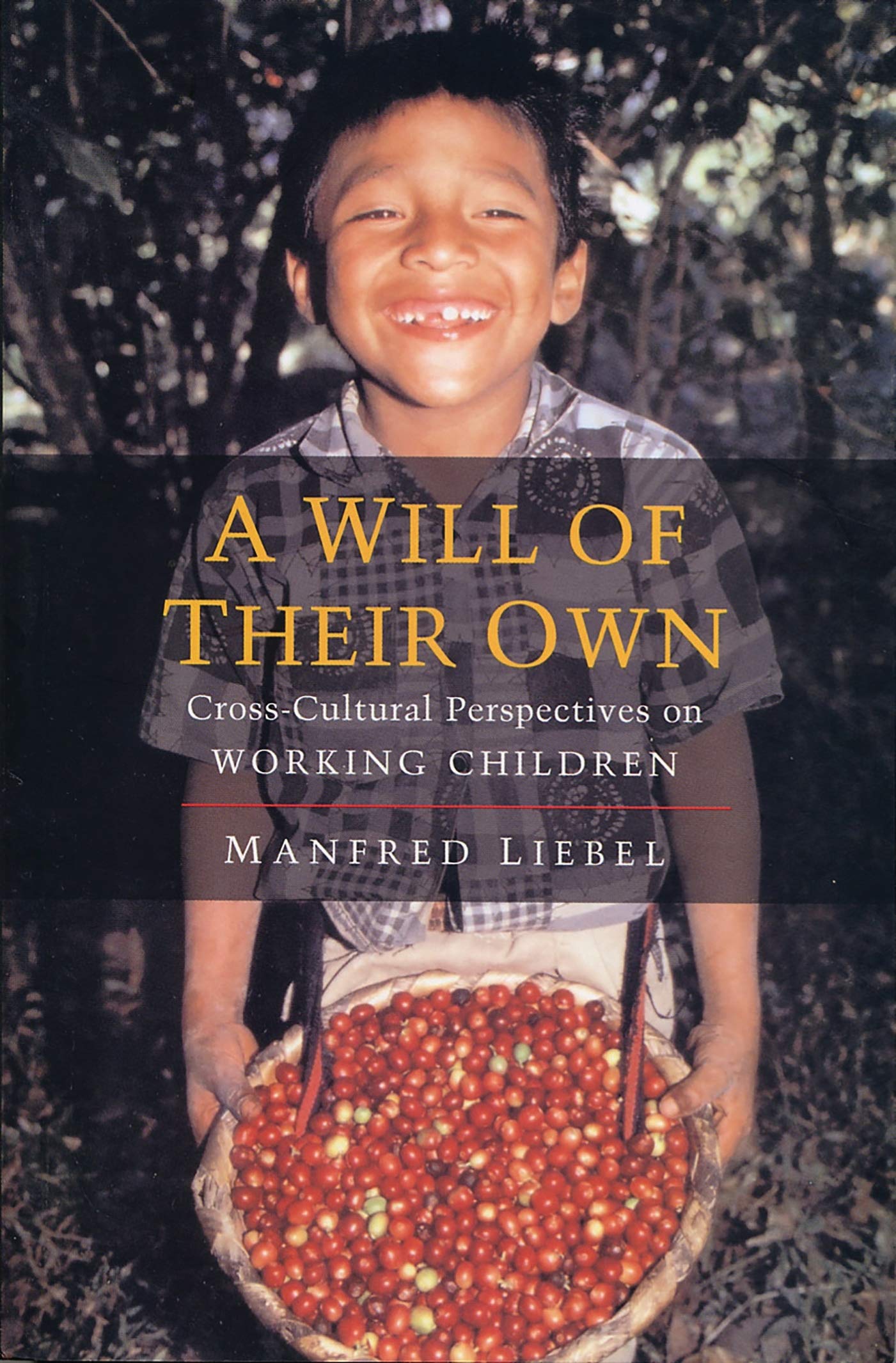 A Will of Their Own: CrossCultural Perspectives on Working Children,Used