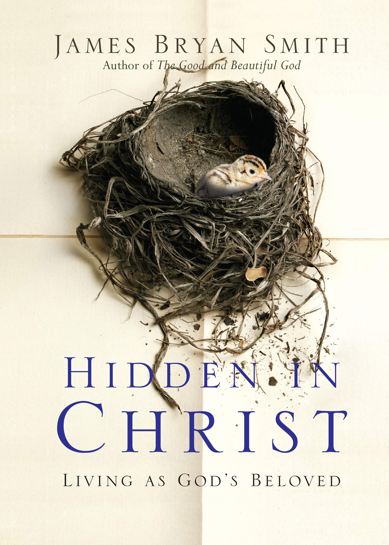 Hidden in Christ: Living as God's Beloved (Apprentice Resources),Used