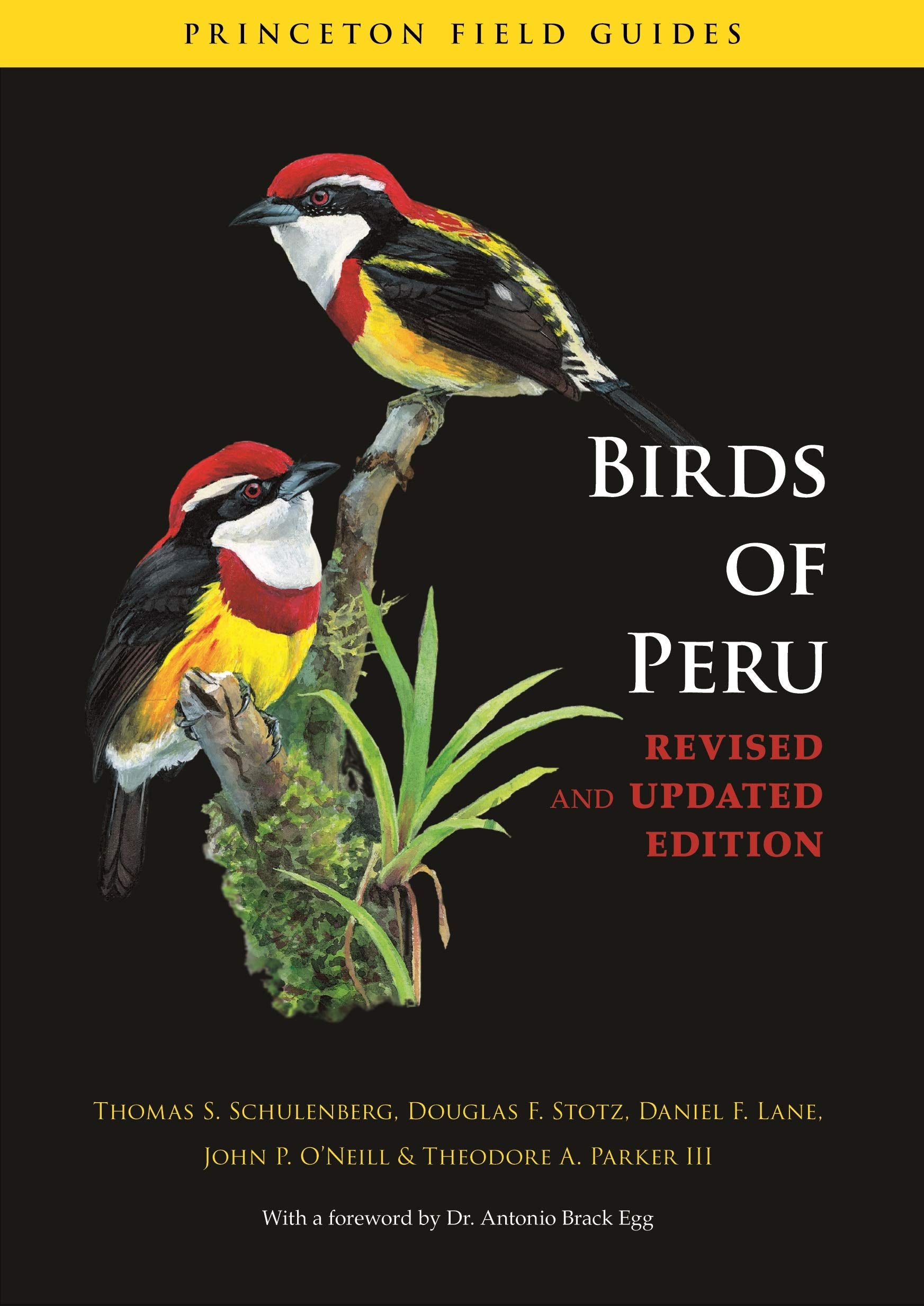 Birds of Peru: Revised and Updated Edition (Princeton Field Guides),Used