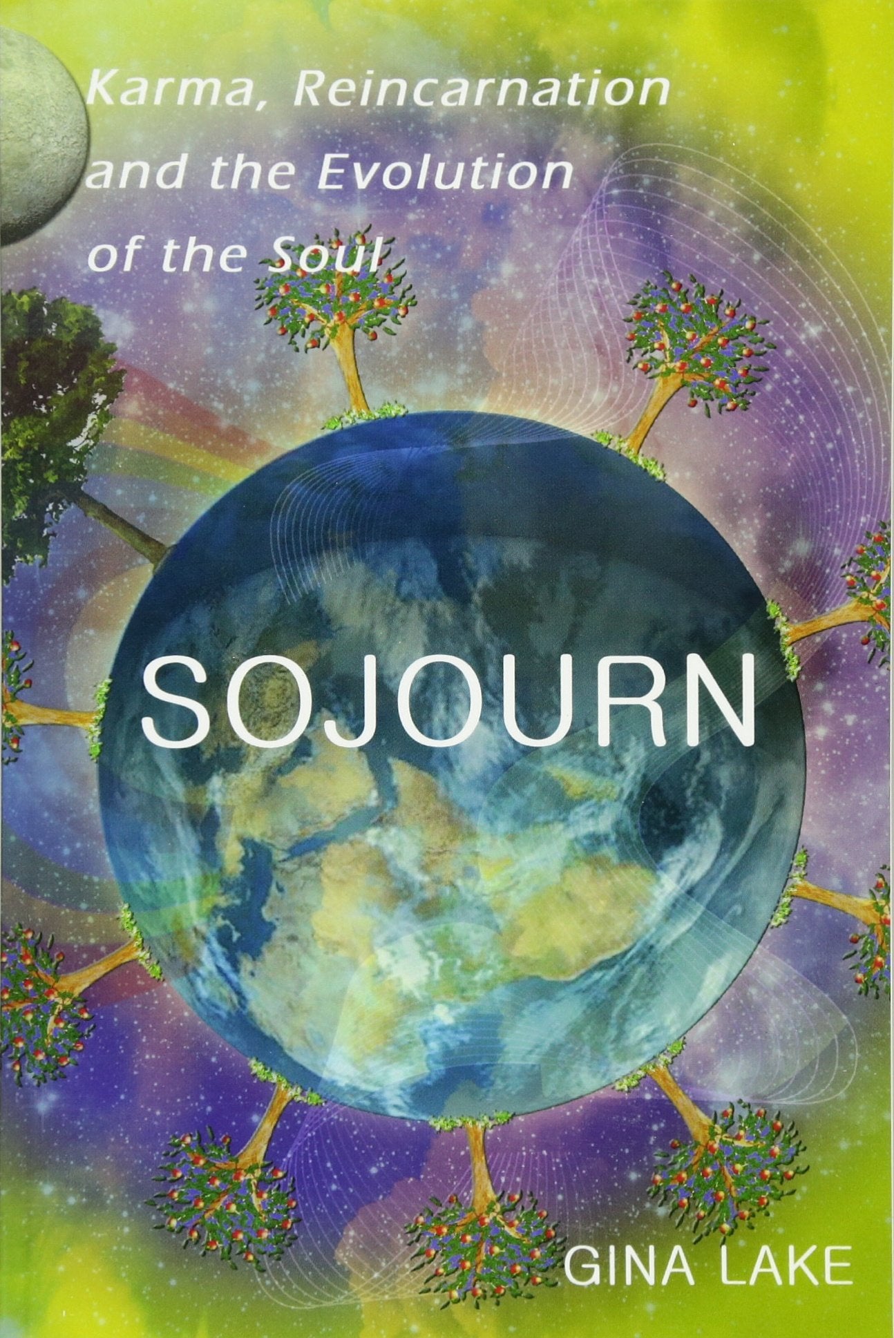 Sojourn: Karma, Reincarnation, and the Evolution of the Soul,Used