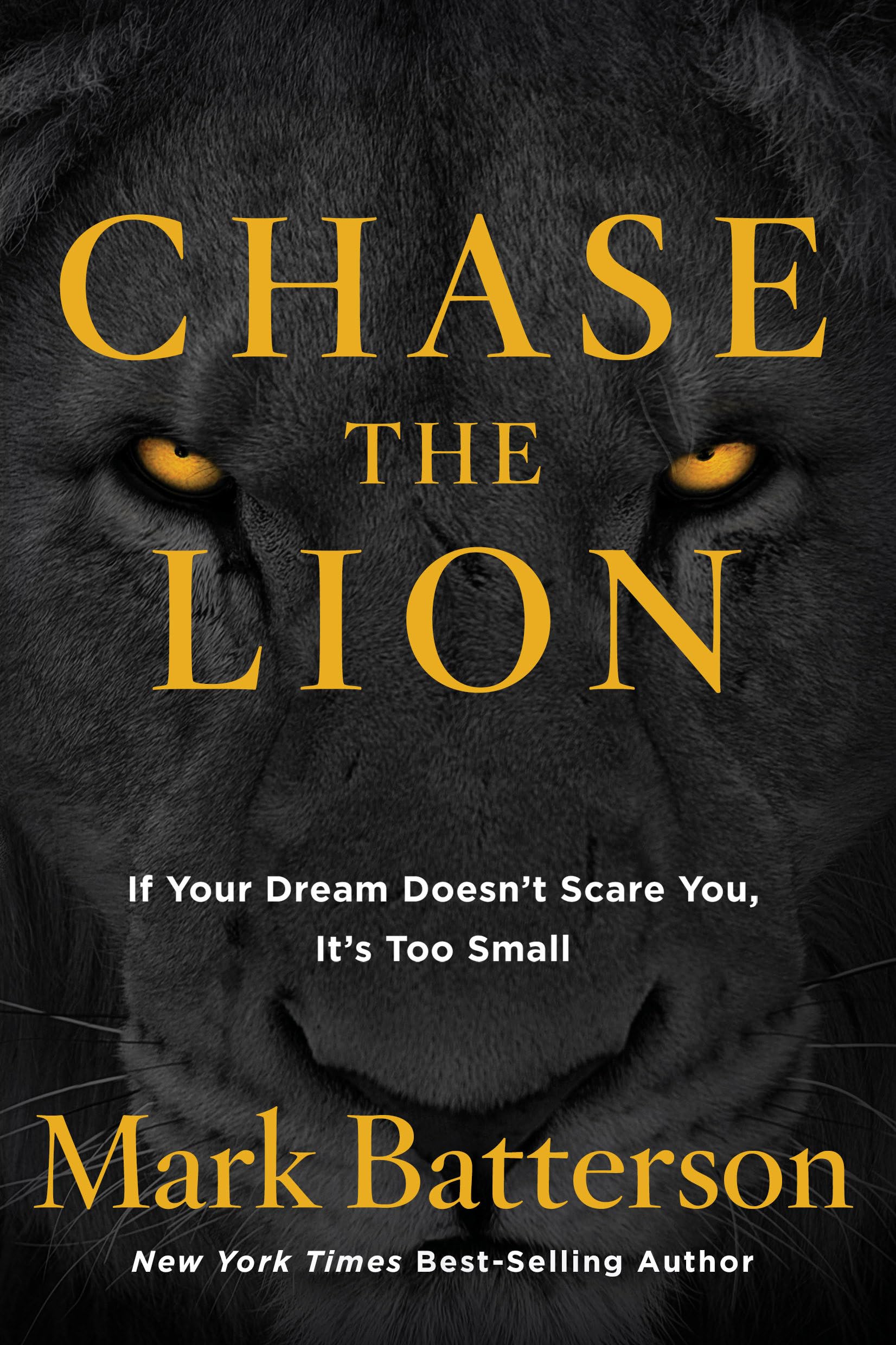 Chase The Lion: If Your Dream Doesn'T Scare You, It'S Too Small