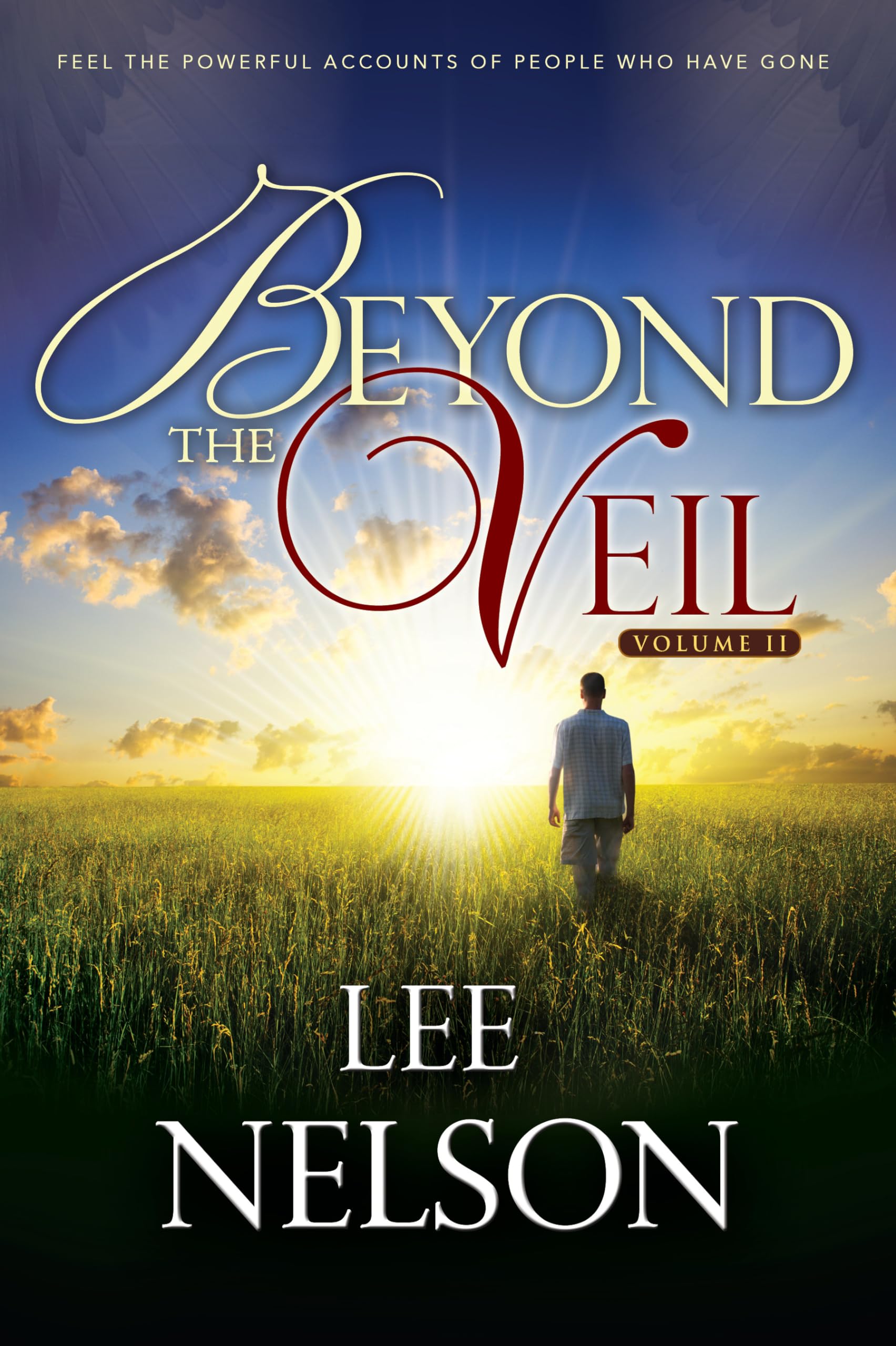 Beyond the Veil (Vol. 2),Used
