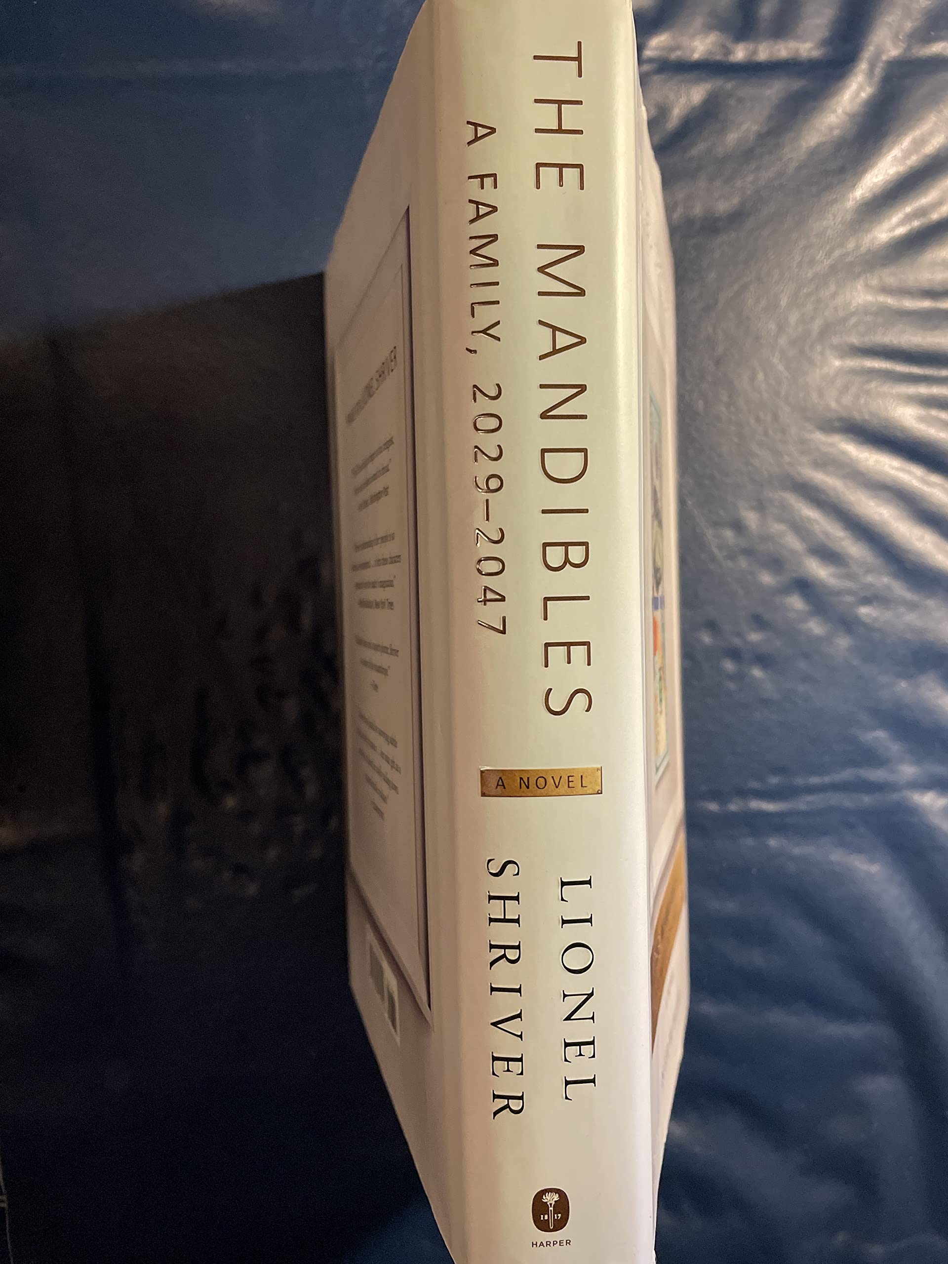 The Mandibles: A Family, 20292047,New