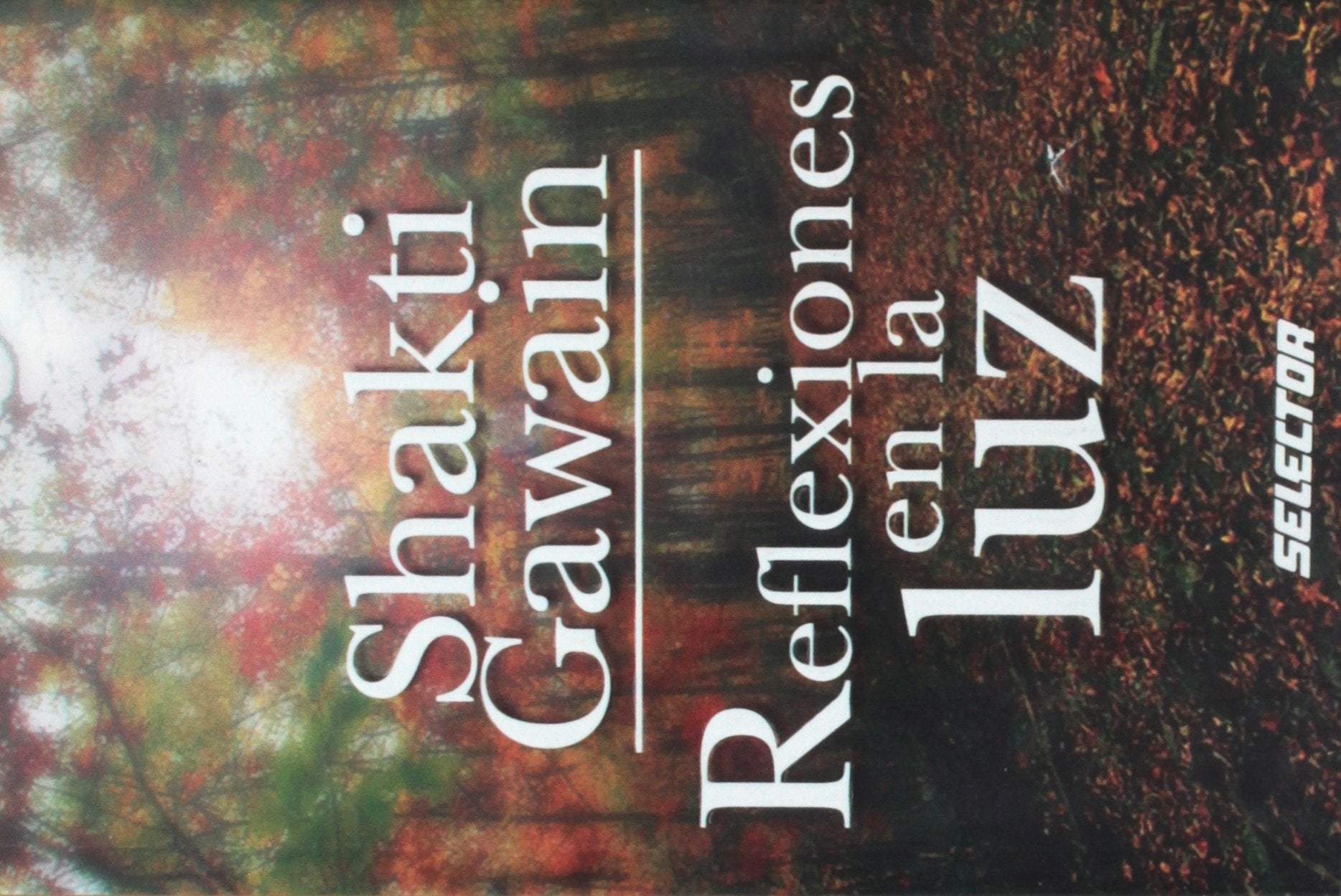 Reflexiones en la luz (Superacion personal/ Personal Growth) (Spanish Edition),New