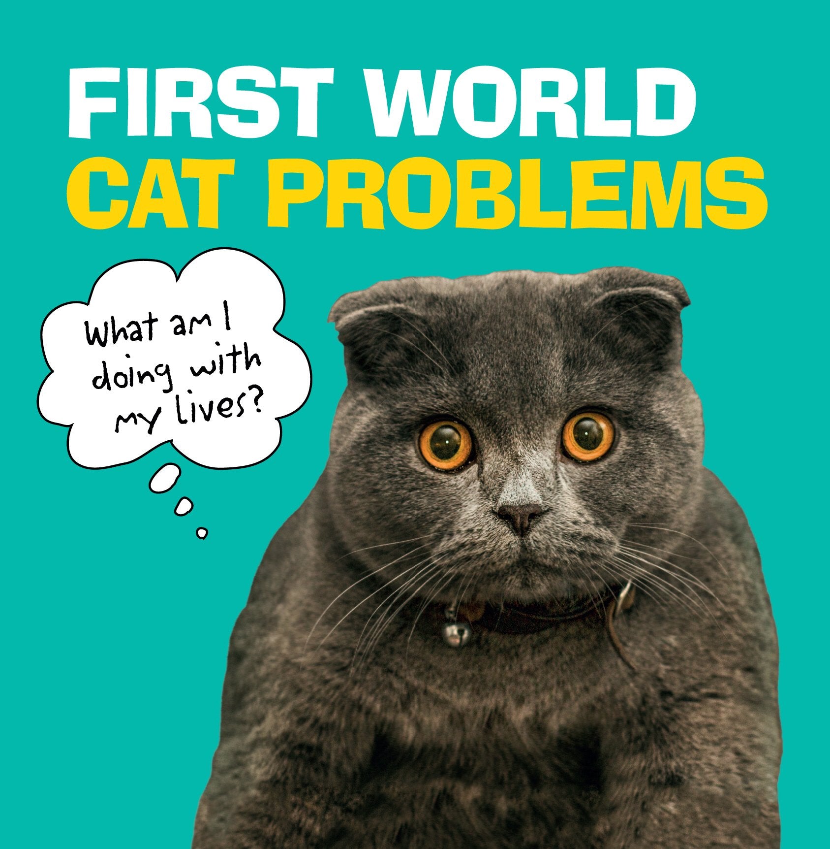 First World Cat Problems: What Am I Doing with My Lives?,Used