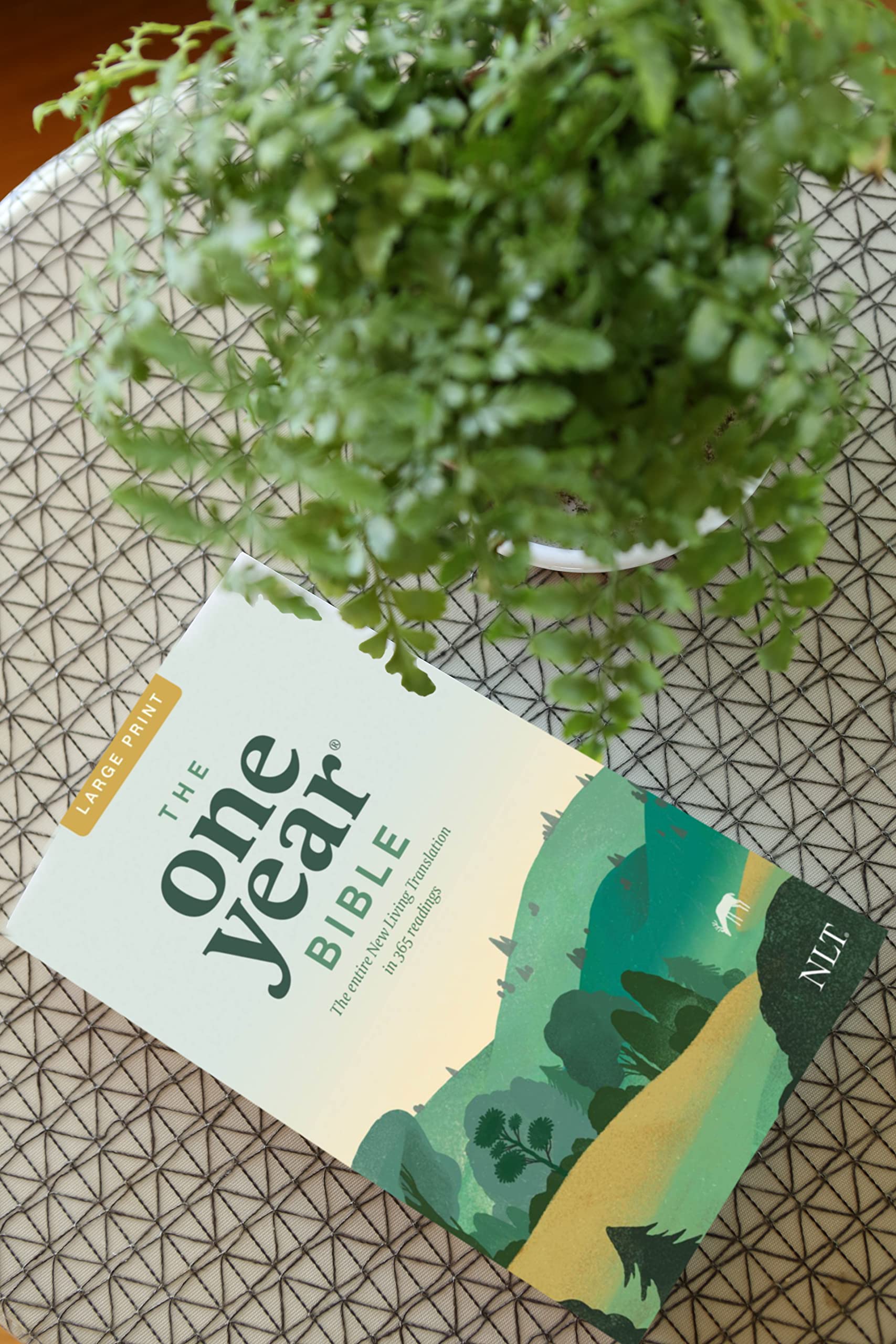 The One Year NLT Large Print Thinline Bible (Softcover) The Entire Bible in 365 Readings in the Clear and Trusted New Living Tra,New