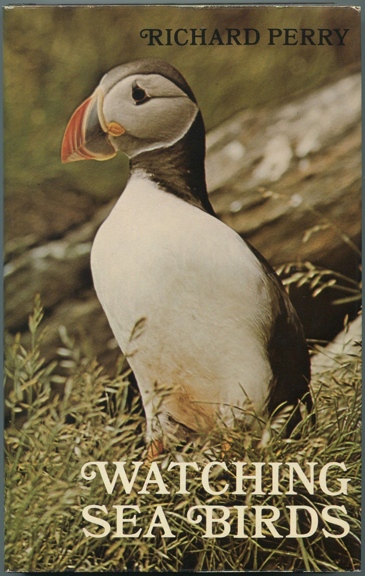 Watching sea birds,Used