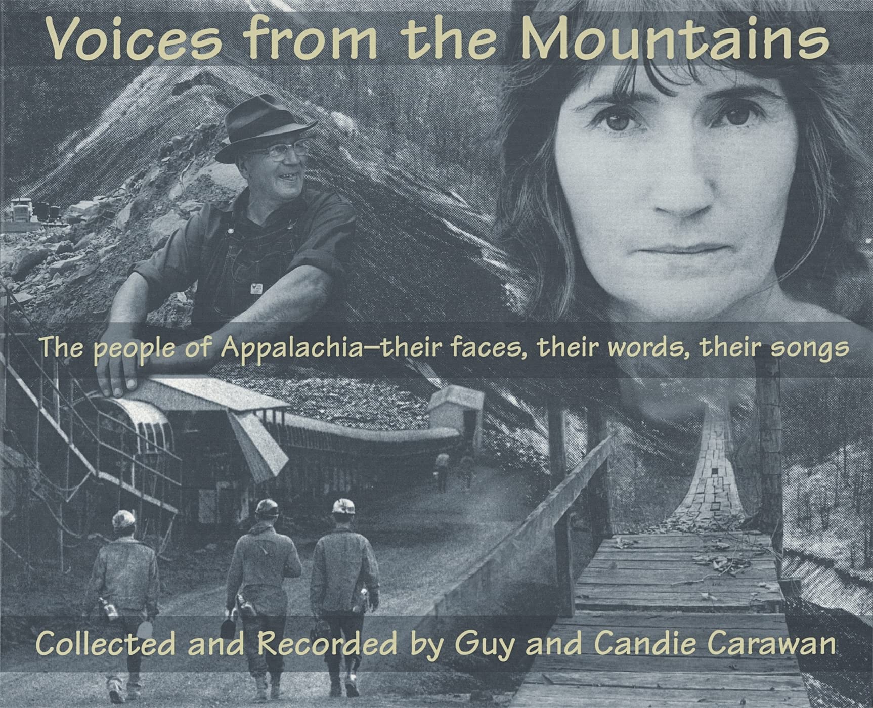 Voices From The Mountains (Brown Thrasher Books),Used
