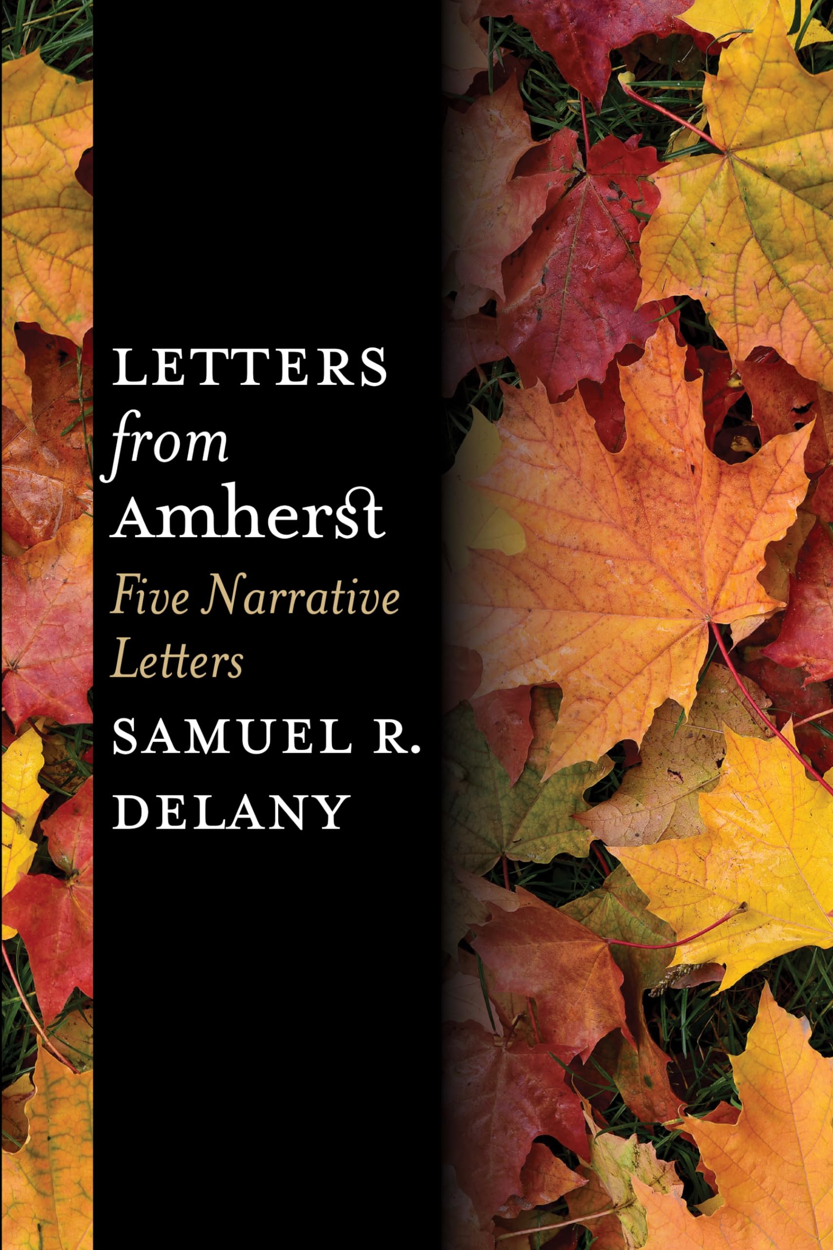Letters From Amherst: Five Narrative Letters,Used