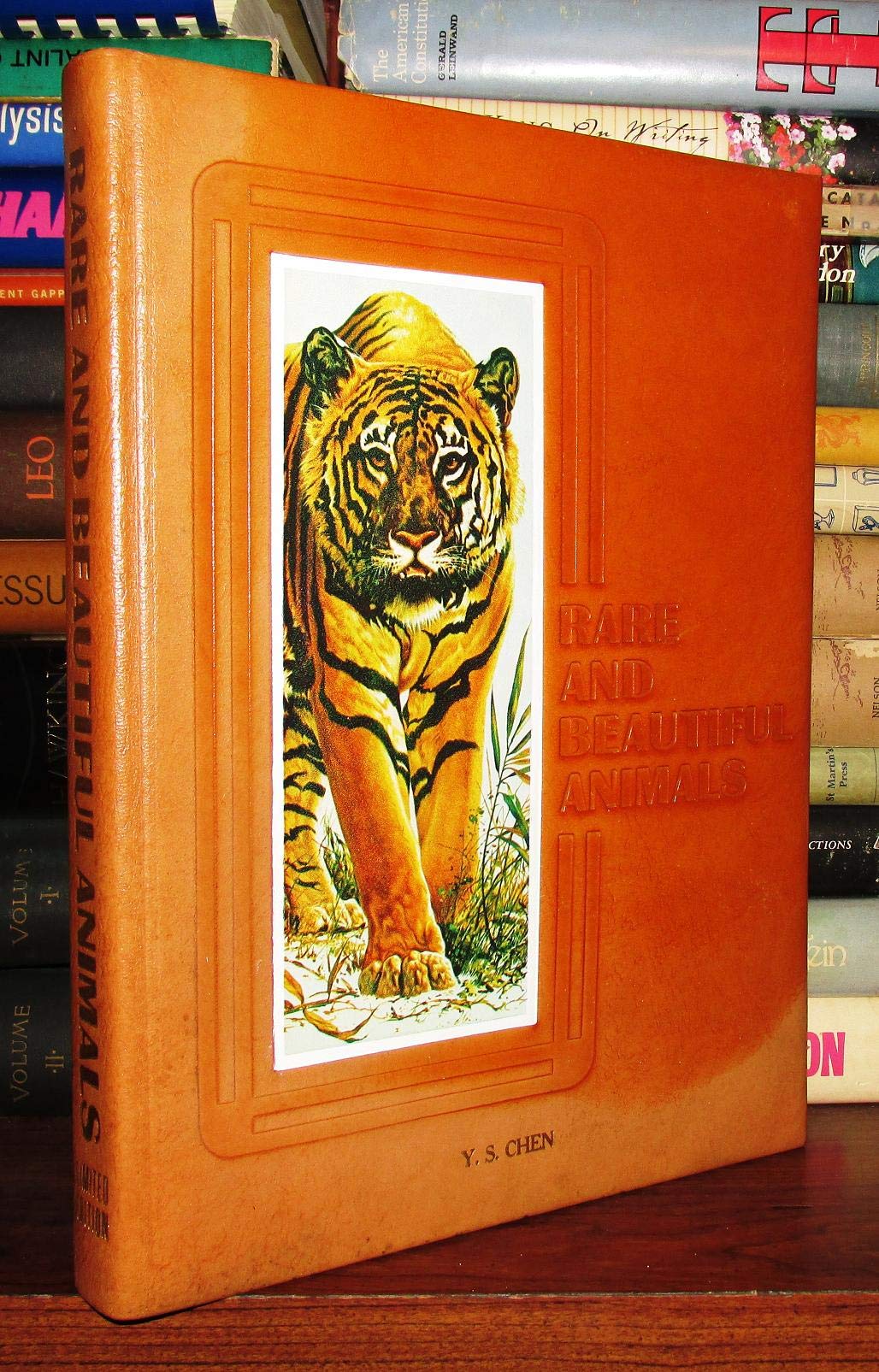 Rare and Beautiful Animals (English and Italian Edition),Used