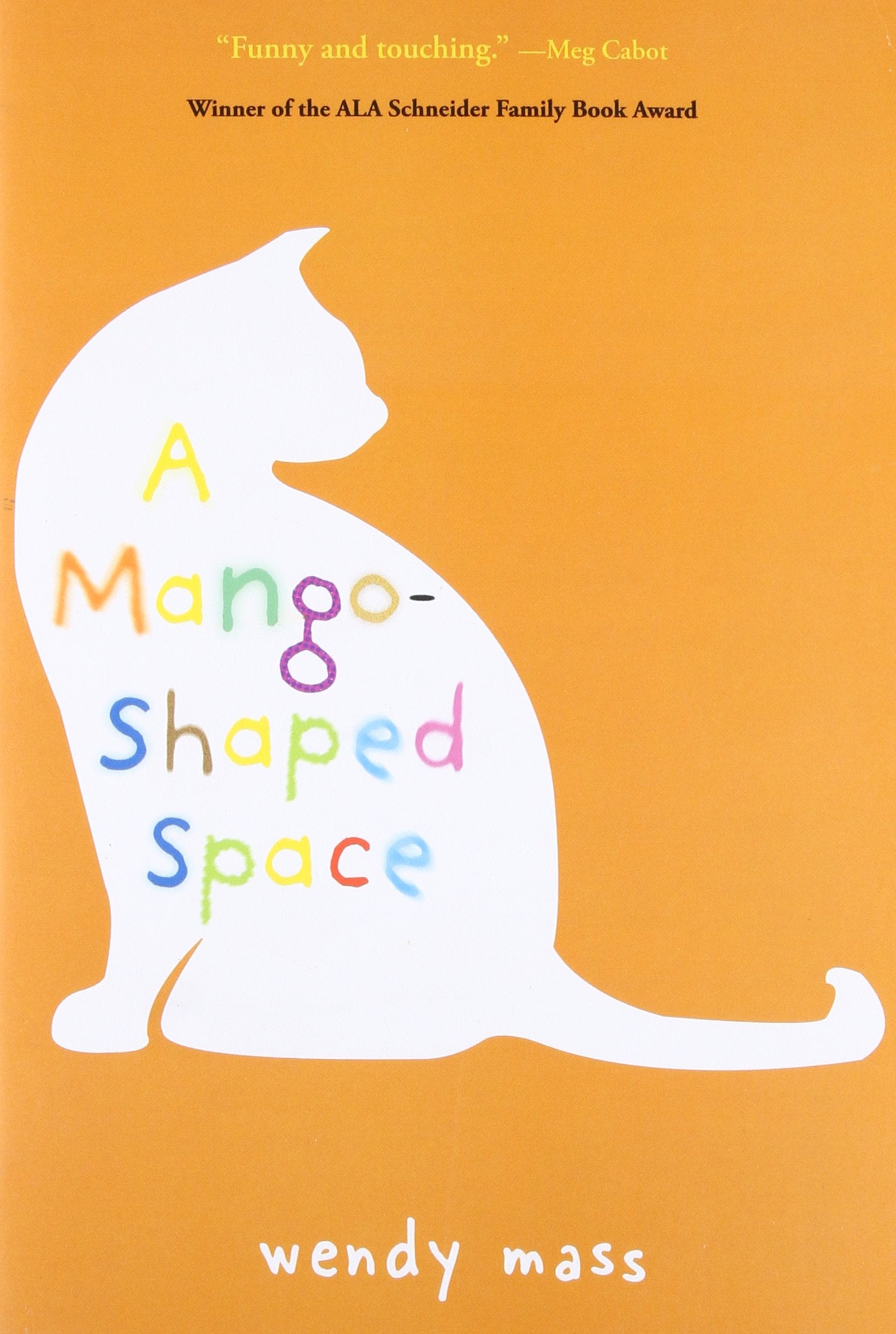A MangoShaped Space,New