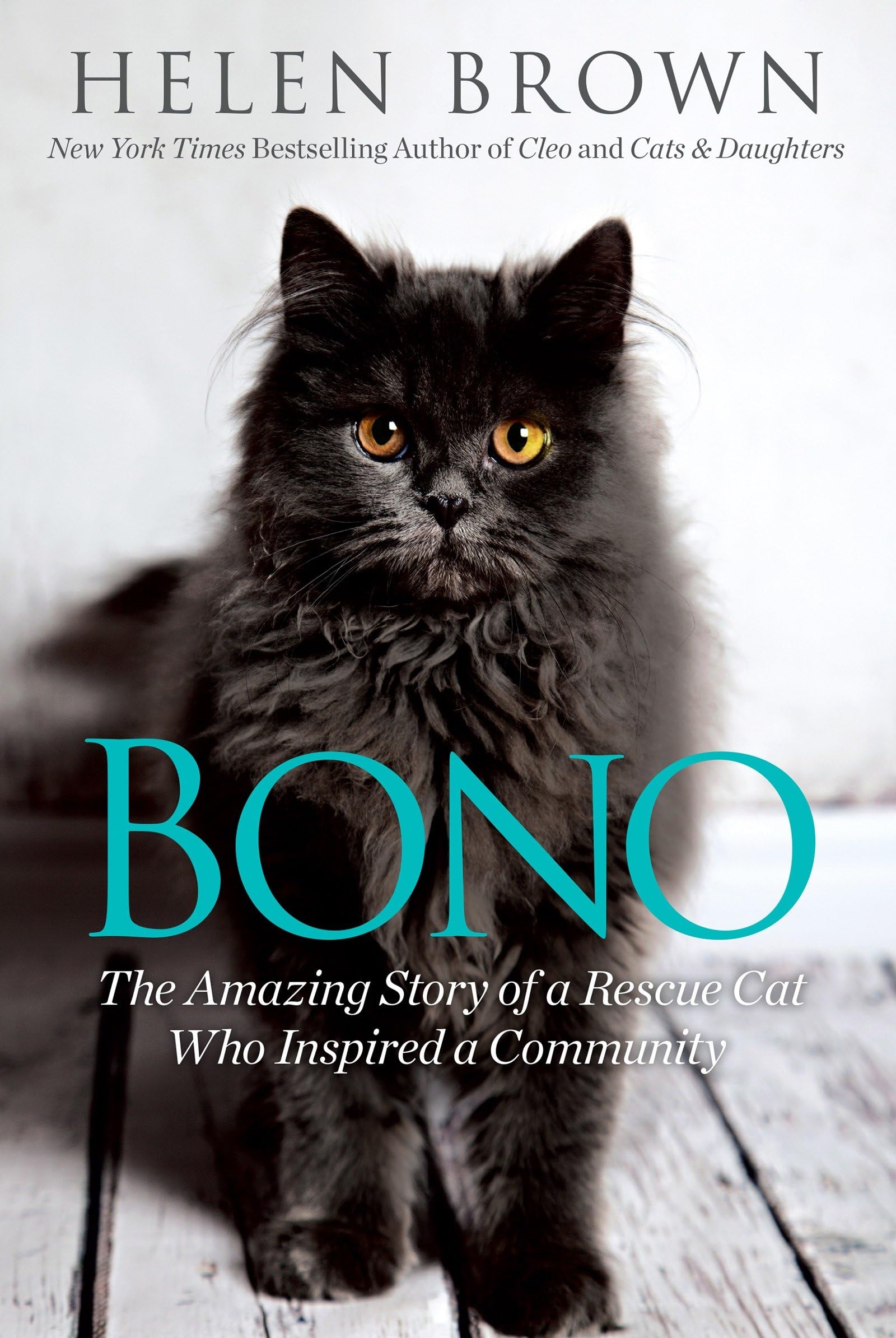 Bono: The Amazing Story Of A Rescue Cat Who Inspired A Community