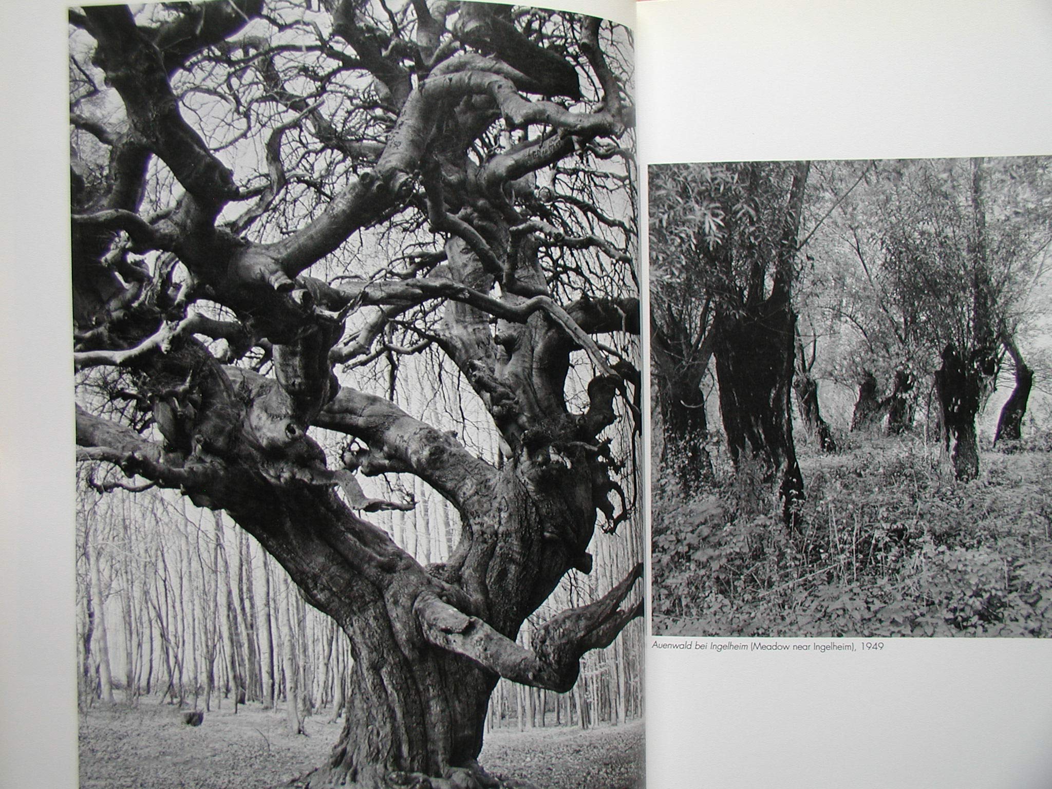 Aperture: Albert Rengerpatzsch,Used