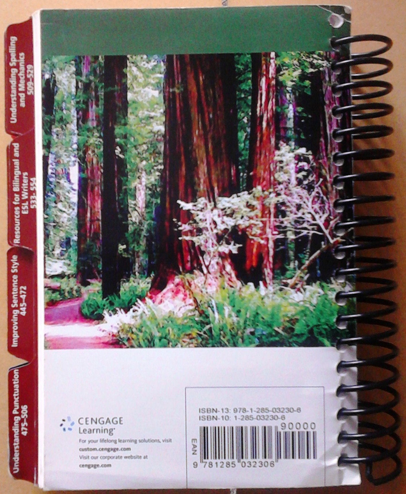 The Brief Wadsworth Handbook,Used