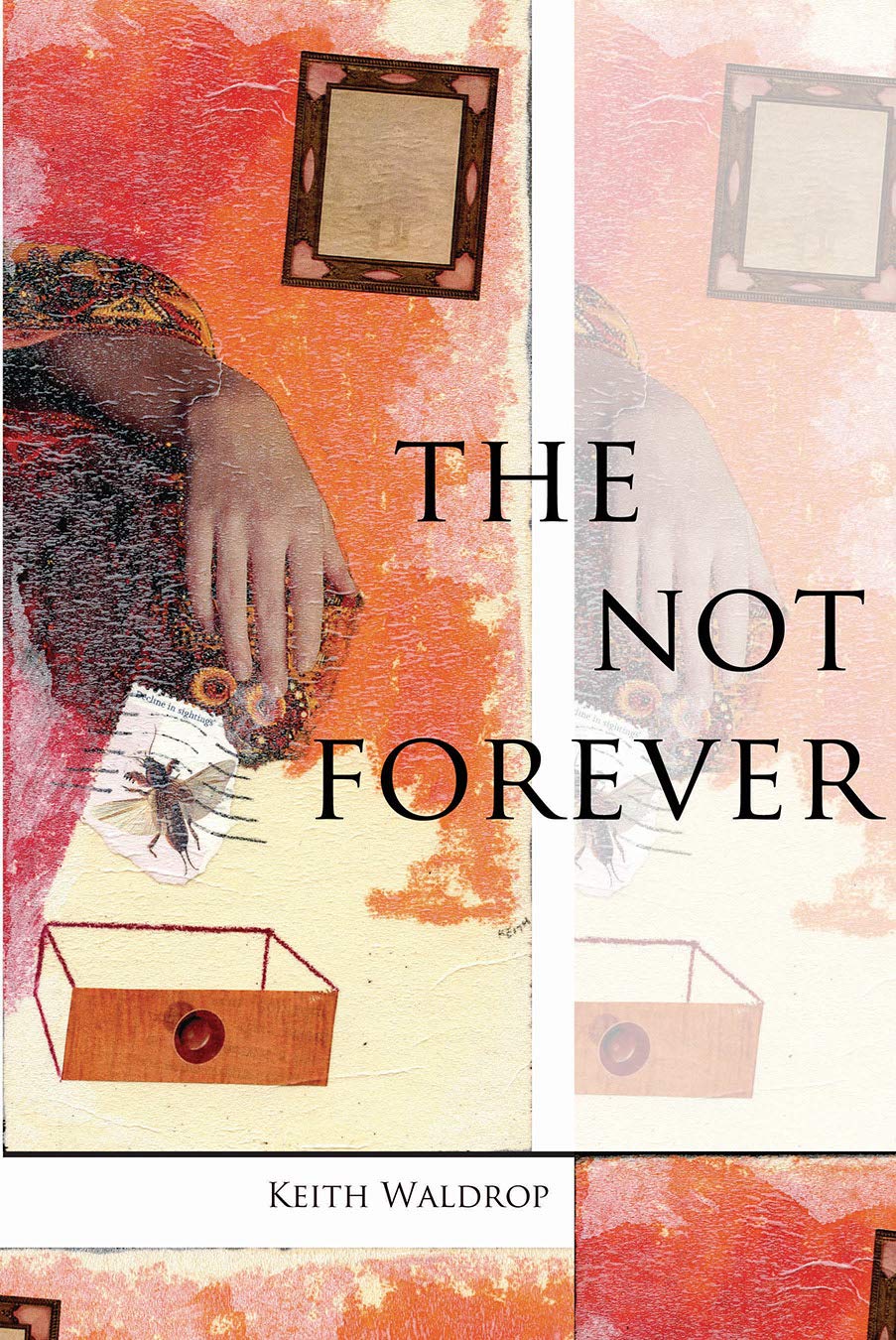 The Not Forever,Used
