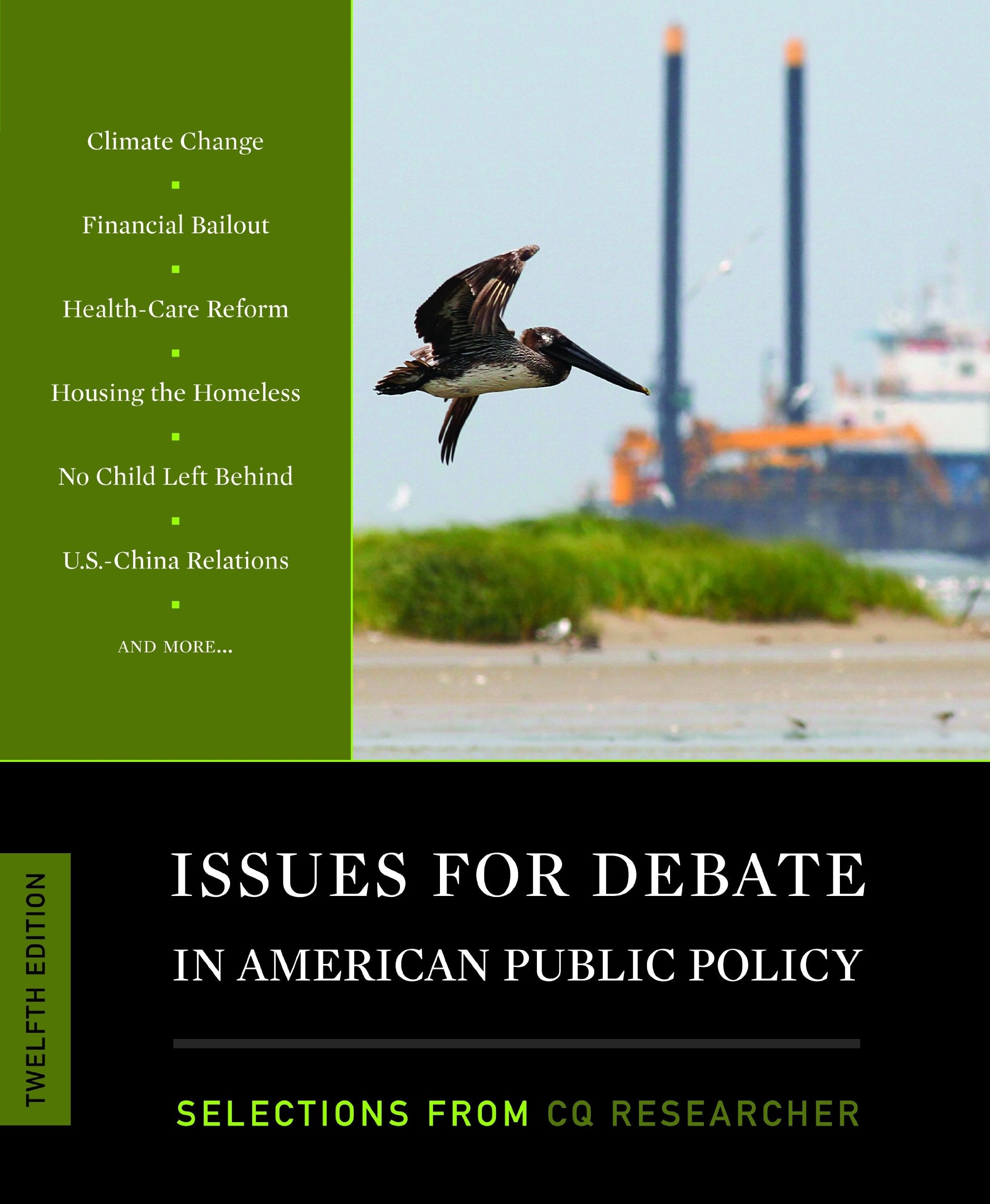 Issues for Debate in American Public Policy: Selections from CQ Researcher, 12th Edition,New