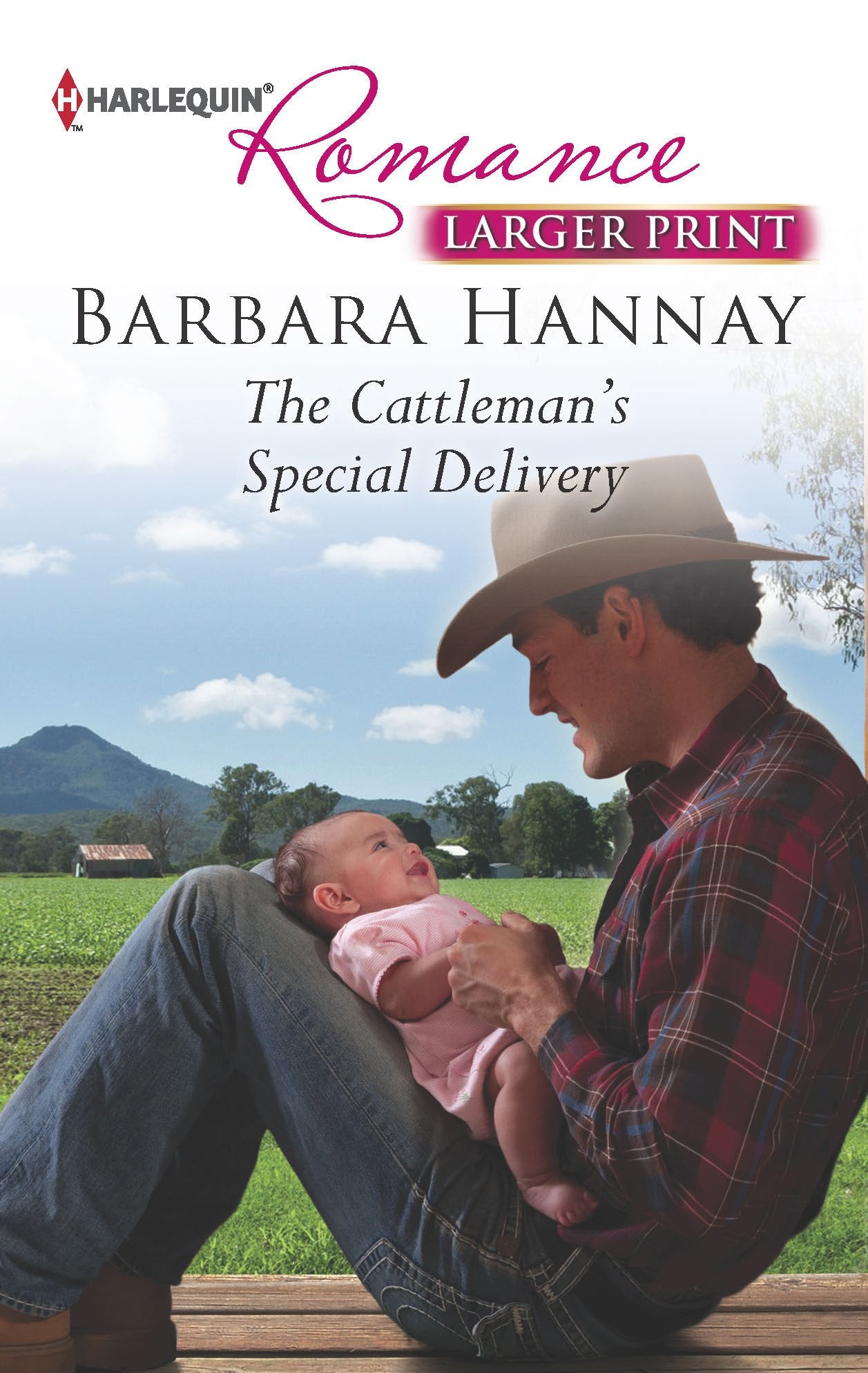 The Cattleman's Special Delivery,Used