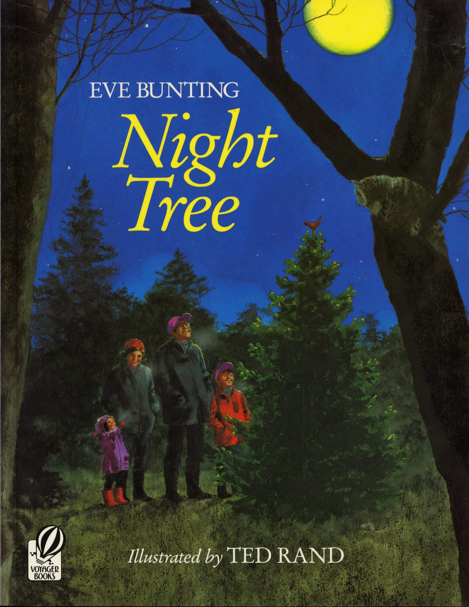 Night Tree: A Christmas Holiday Book For Kids,New