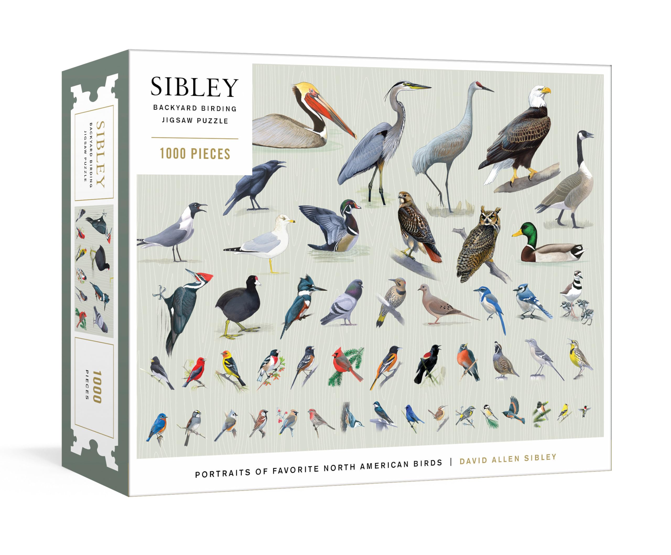 Sibley Backyard Birding Puzzle: 1000Piece Jigsaw Puzzle With Portraits Of Favorite North American Birds : Jigsaw Puzzles For Ad,New