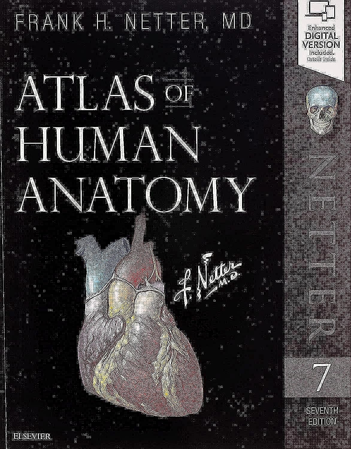 Atlas of Human Anatomy (Netter Basic Science),New