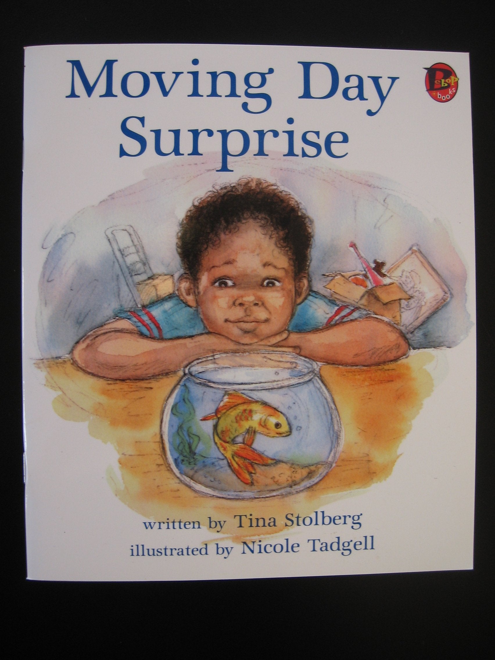 Moving Day Surprise,Used