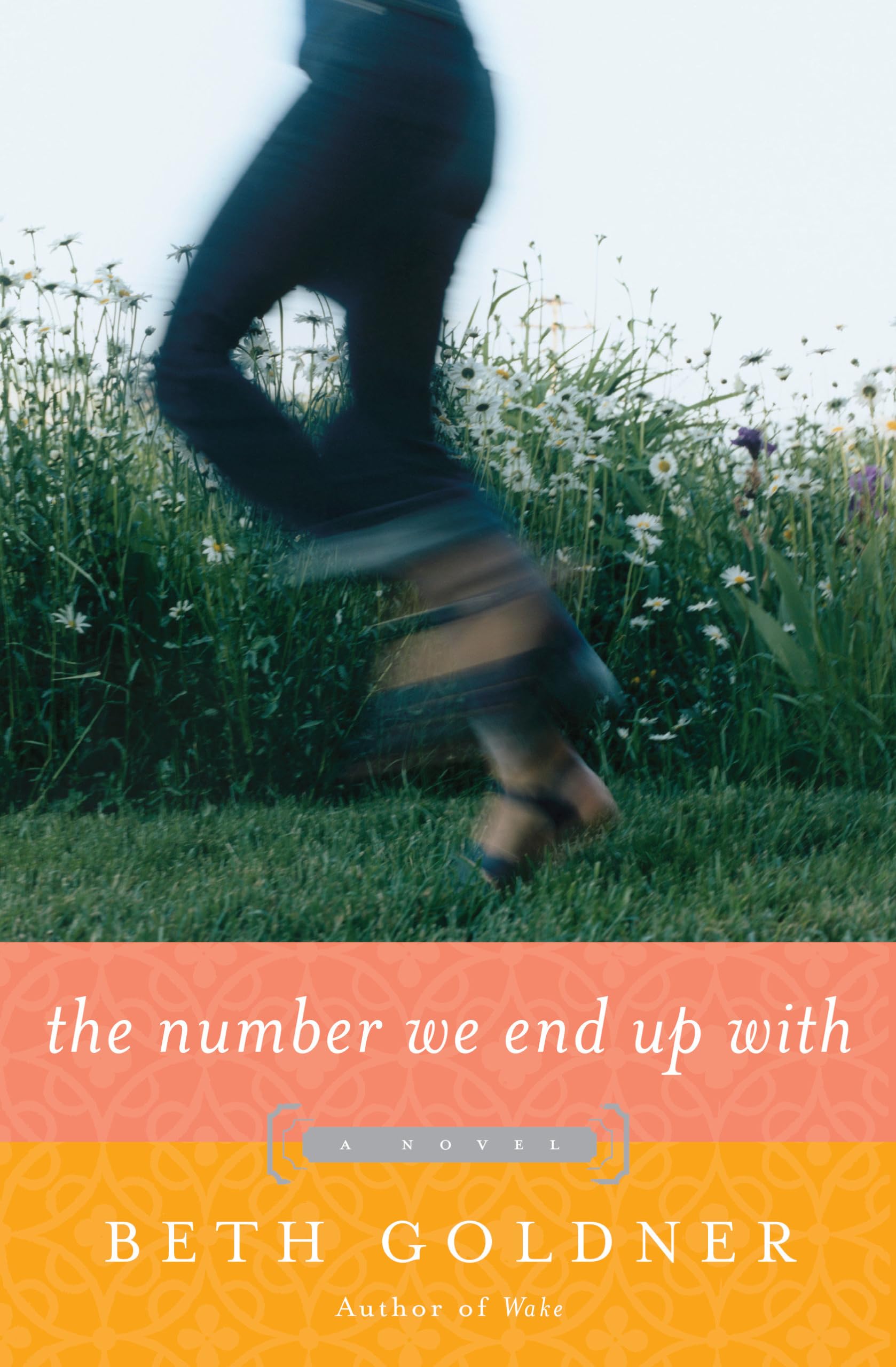 The Number We End Up With: A Novel,Used