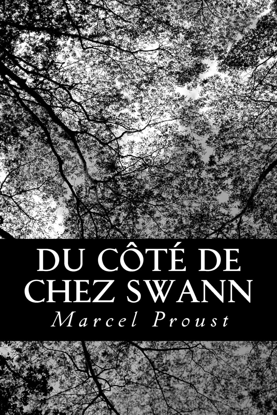 Du Ct De Chez Swann (French Edition),Used