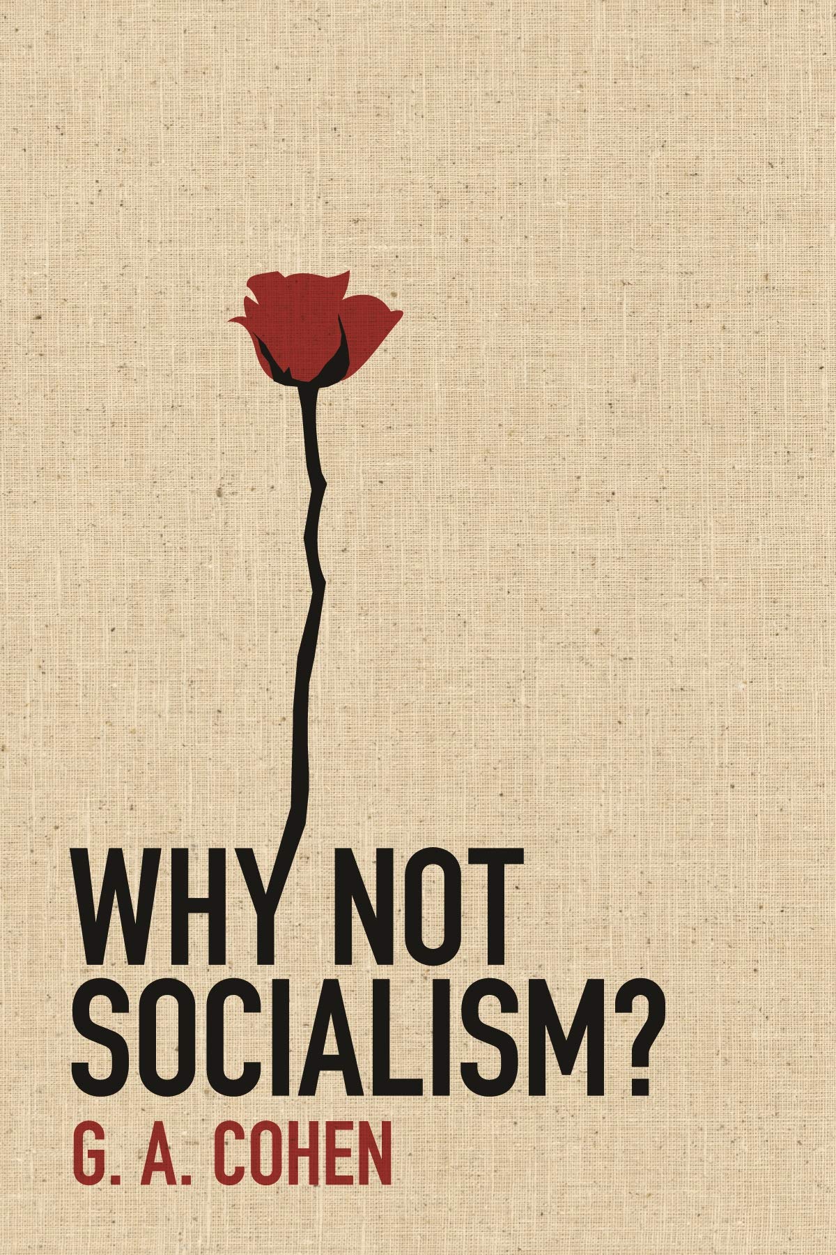 Why Not Socialism?,New