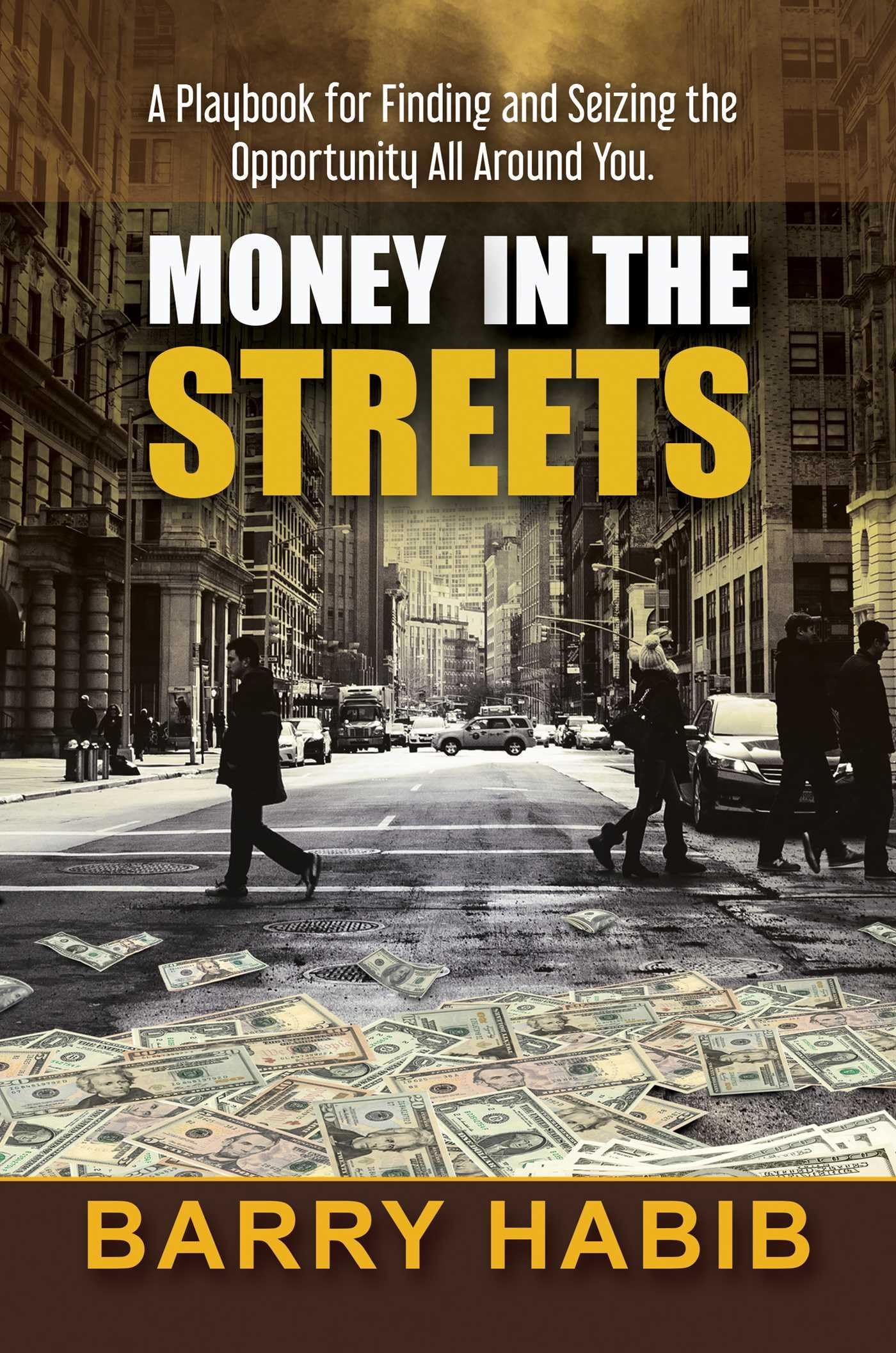 Money In The Streets: A Playbook For Finding And Seizing The Opportunity All Around You.