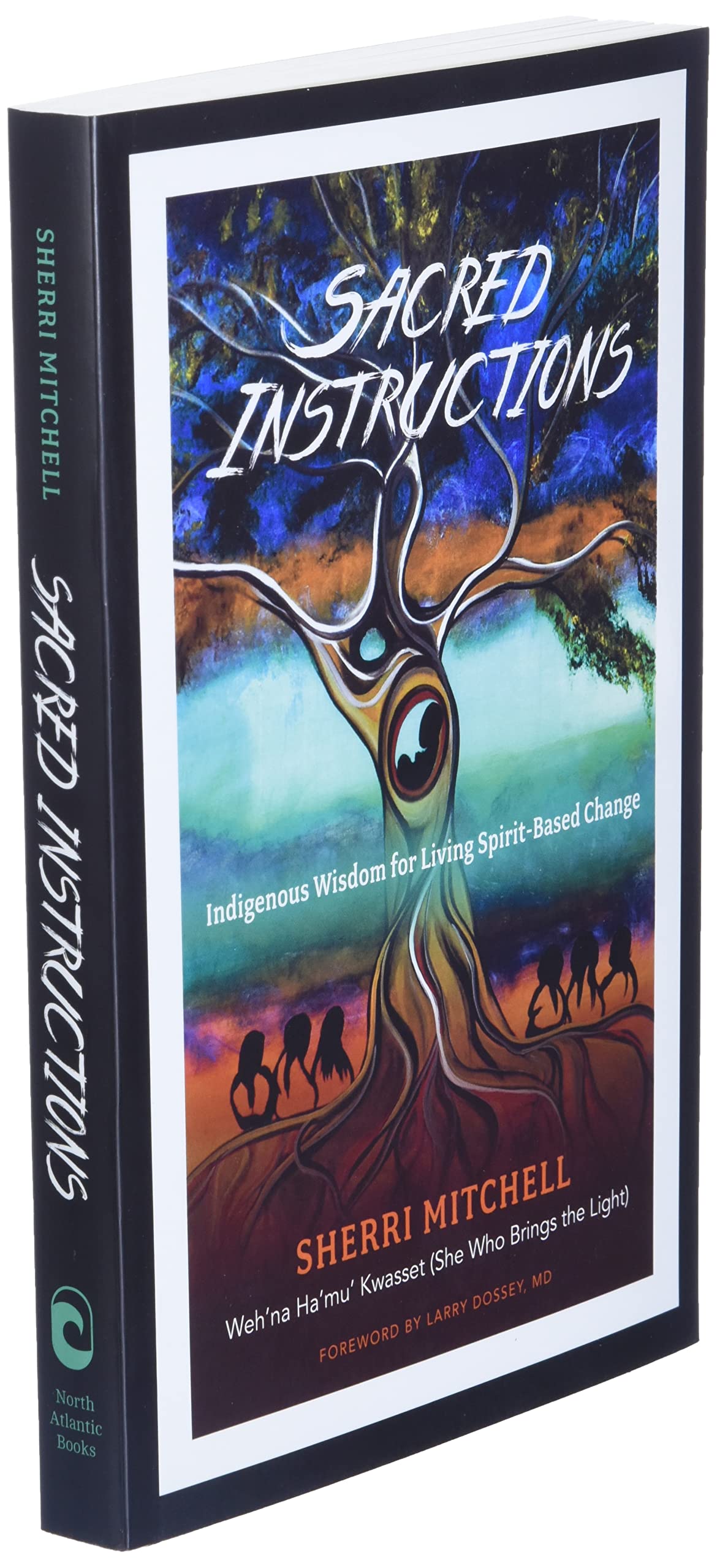 Sacred Instructions: Indigenous Wisdom for Living SpiritBased Change,New