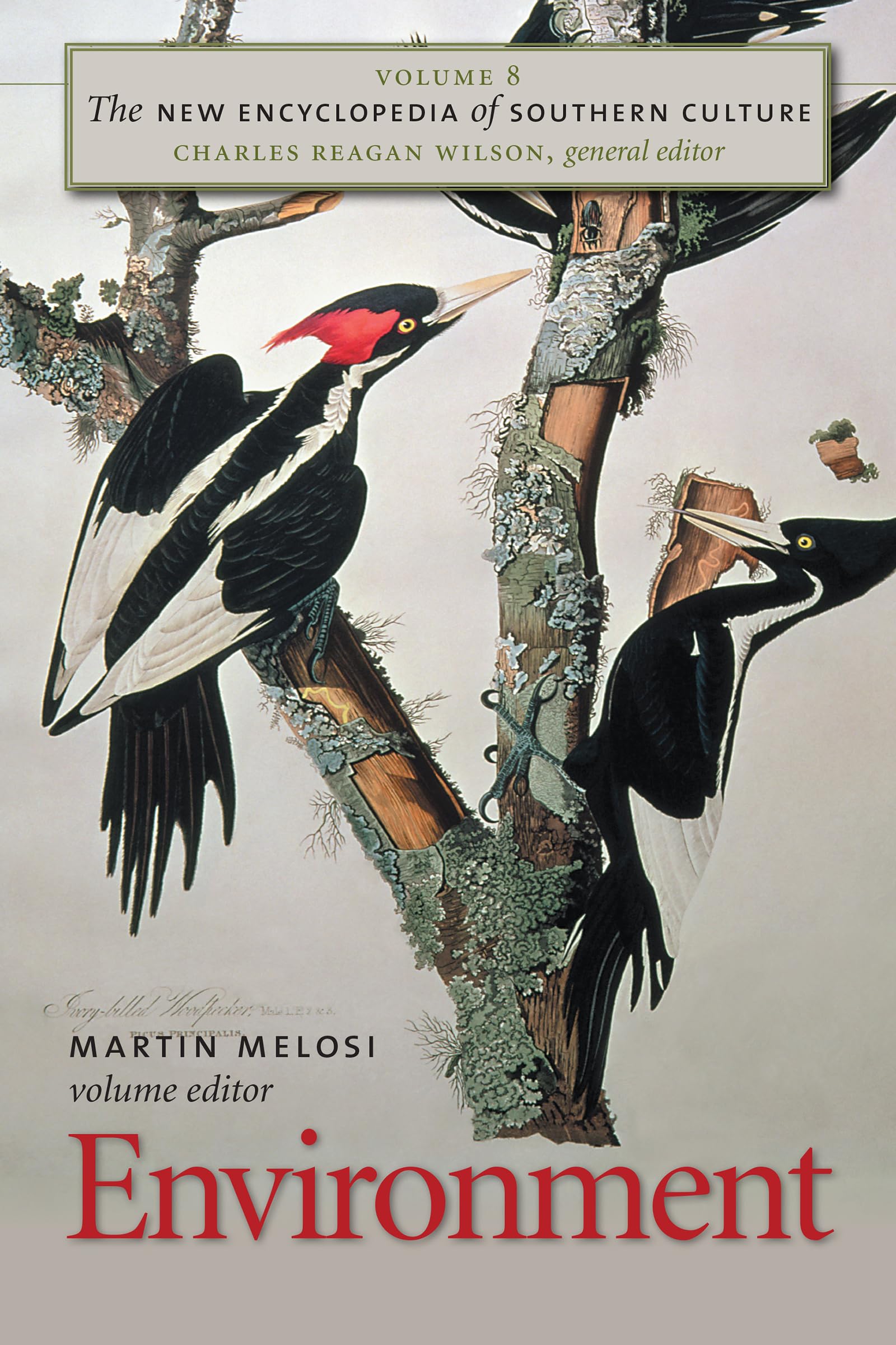The New Encyclopedia Of Southern Culture: Volume 8: Environment (The New Encyclopedia Of Southern Culture, 8),Used