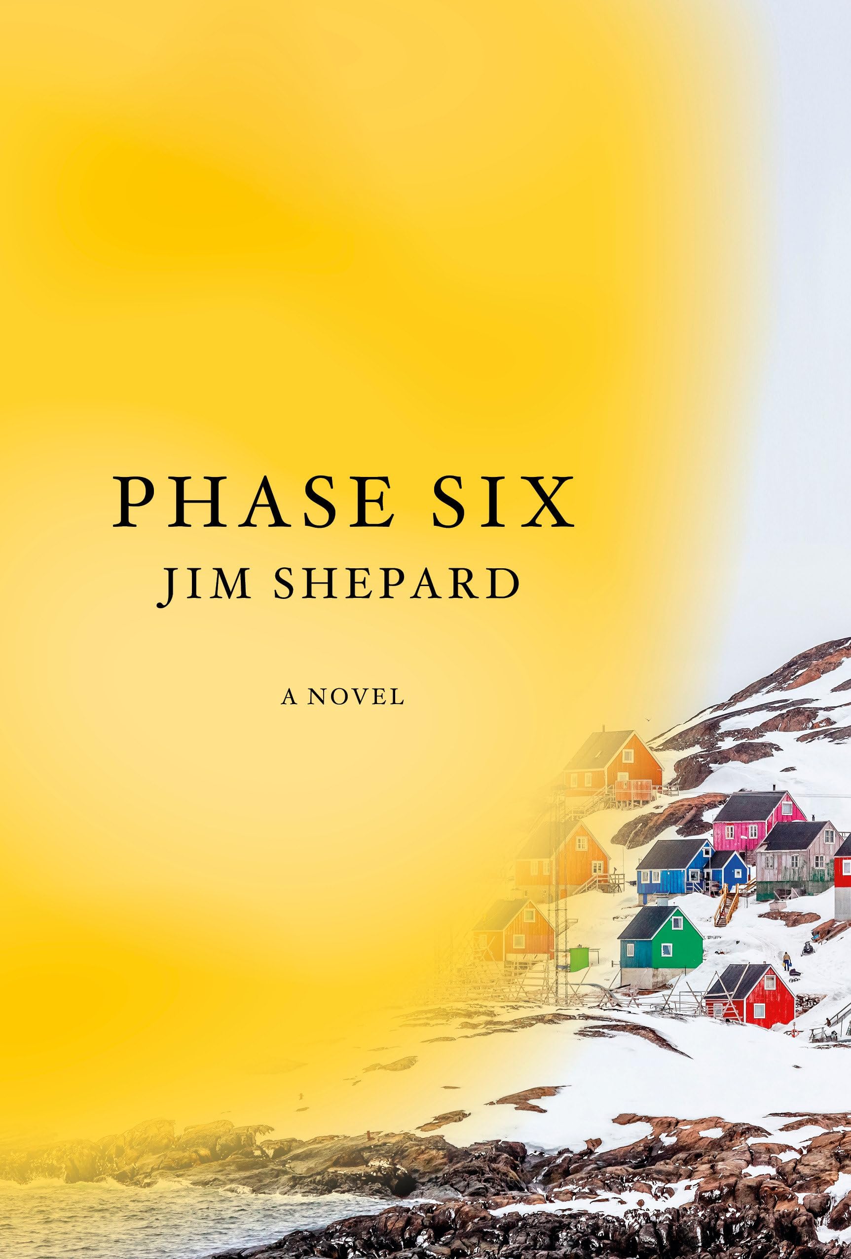 Phase Six: A novel,Used