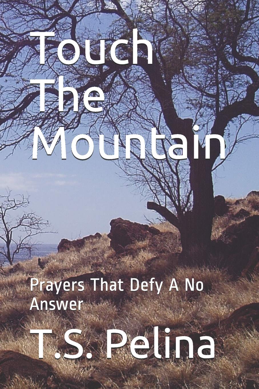 Touch The Mountain: Prayers That Defy A No Answer,Used