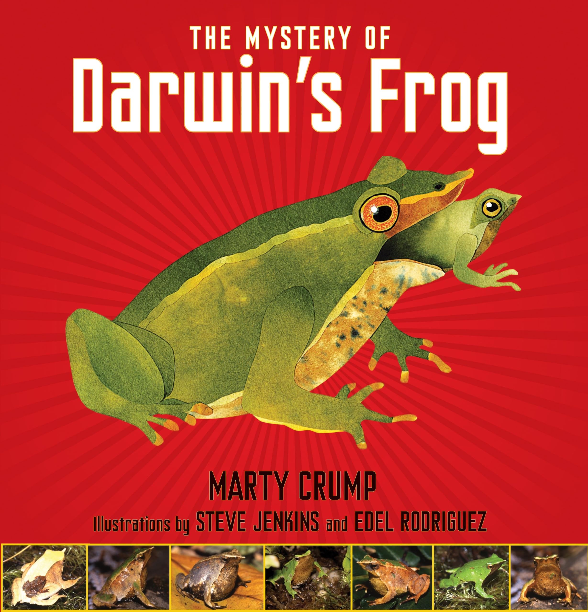 The Mystery Of Darwin'S Frog,Used