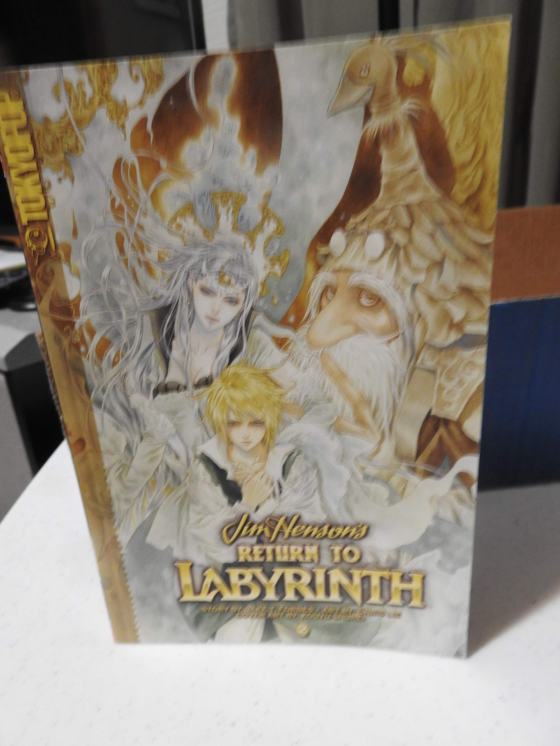 Return to Labyrinth Volume 2,Used