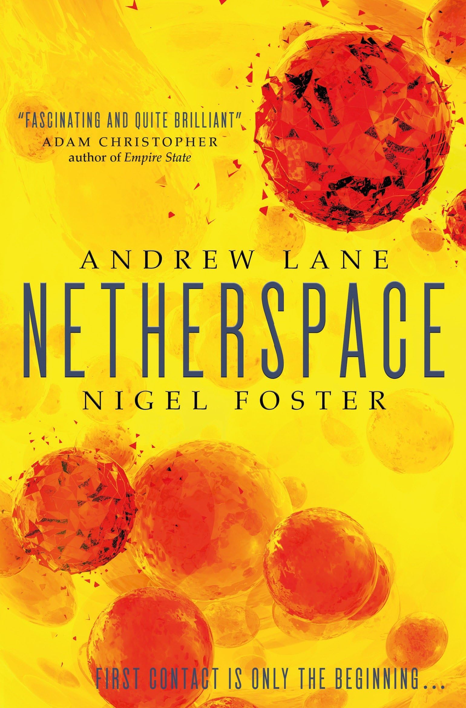 Netherspace (Netherspace #1),Used