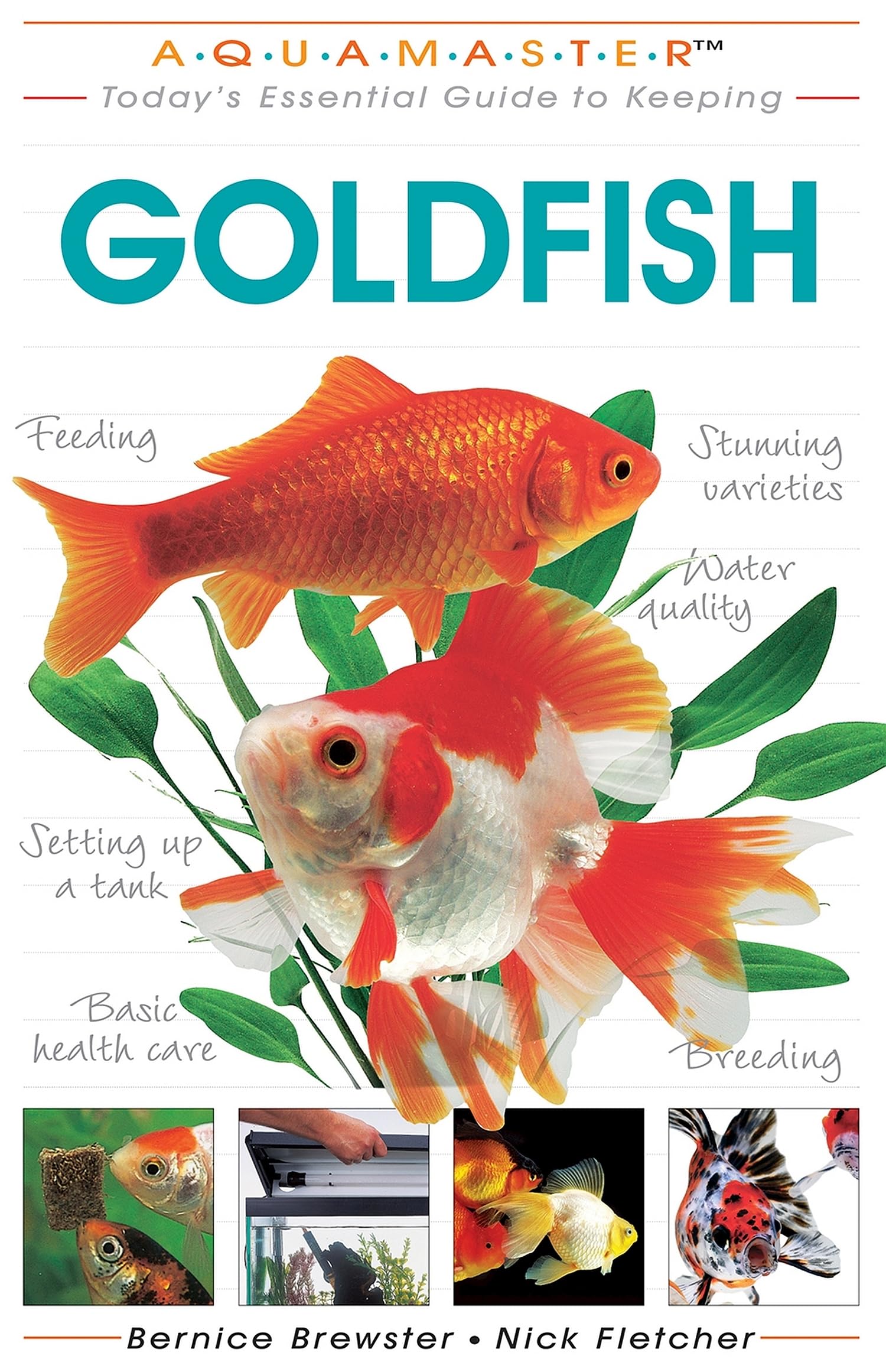 Today'S Essential Guide To Keeping Goldfish (Companionhouse Books),Used