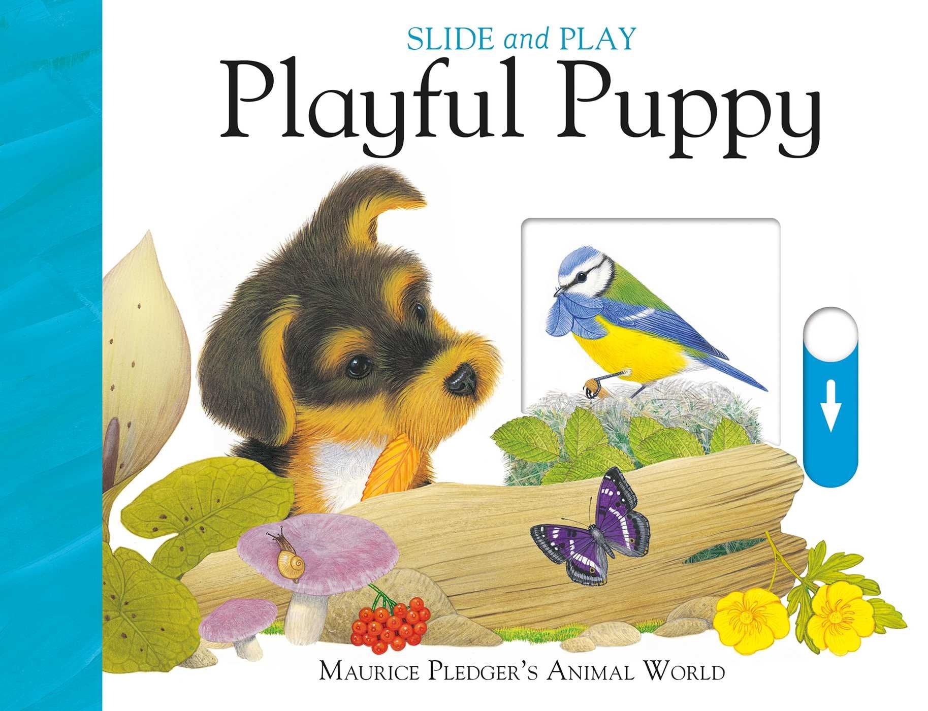 Slide & Play: Playful Puppy,Used