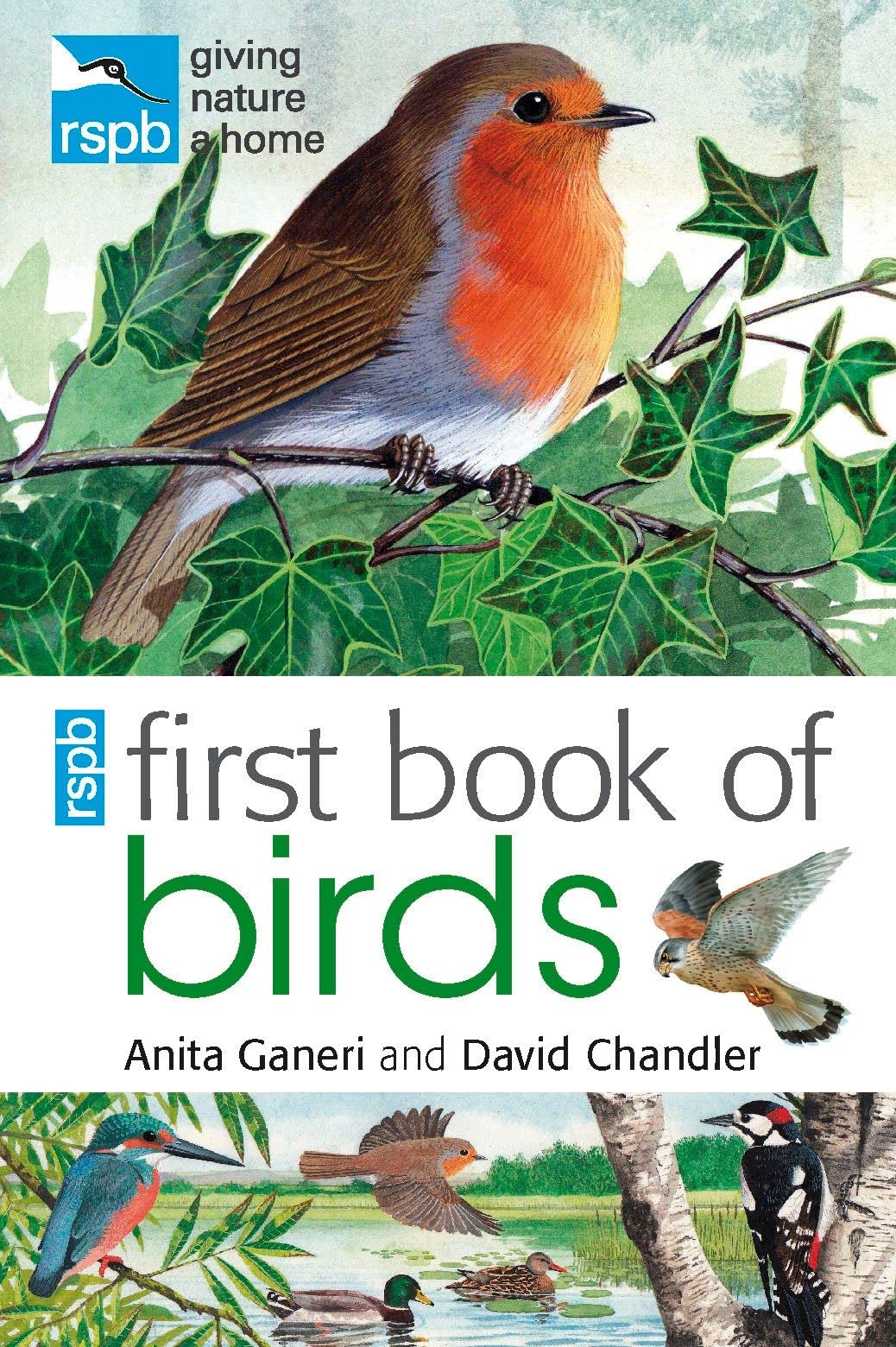 Rspb First Book of Birds,Used