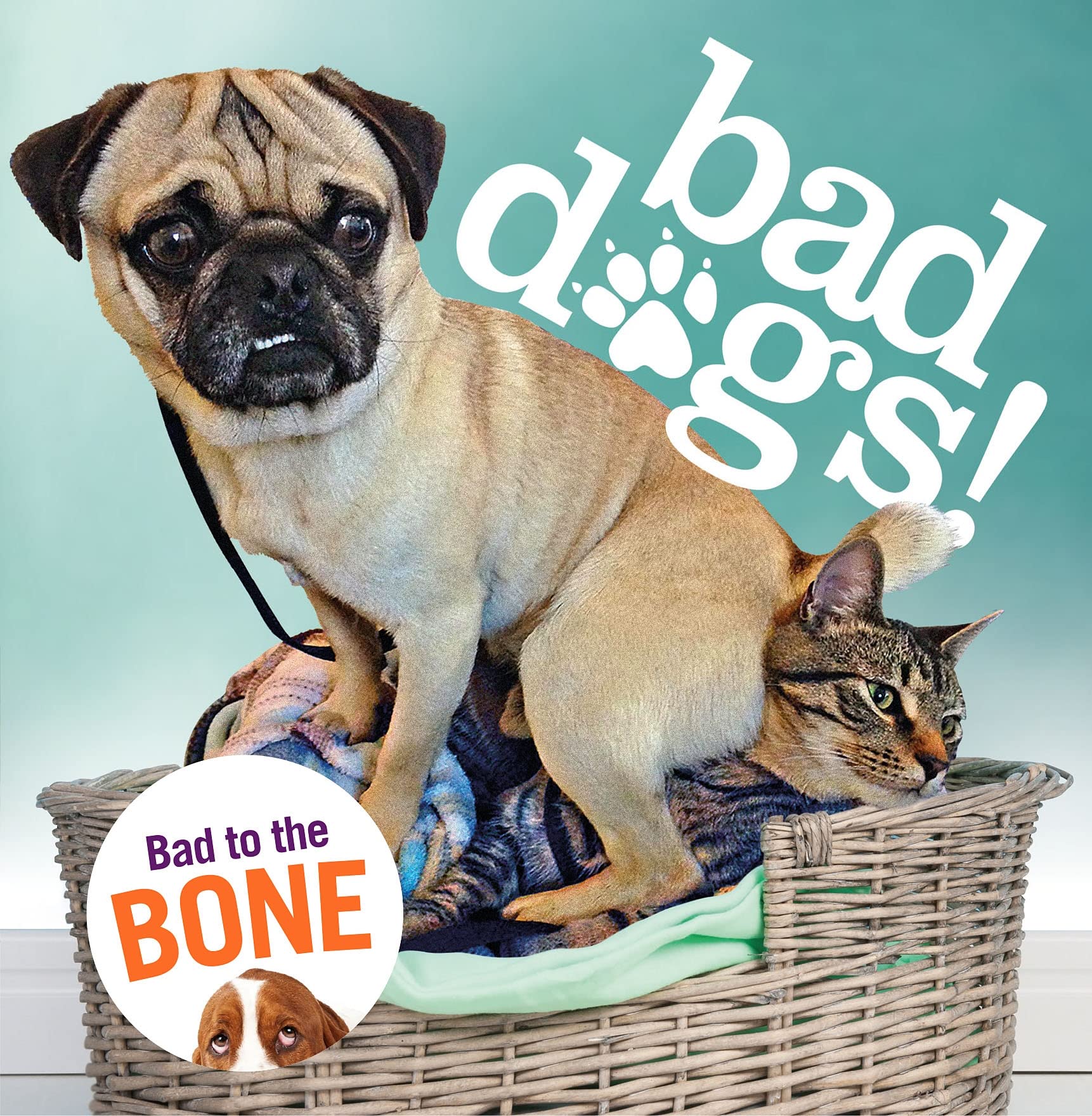 Bad Dogs,Used