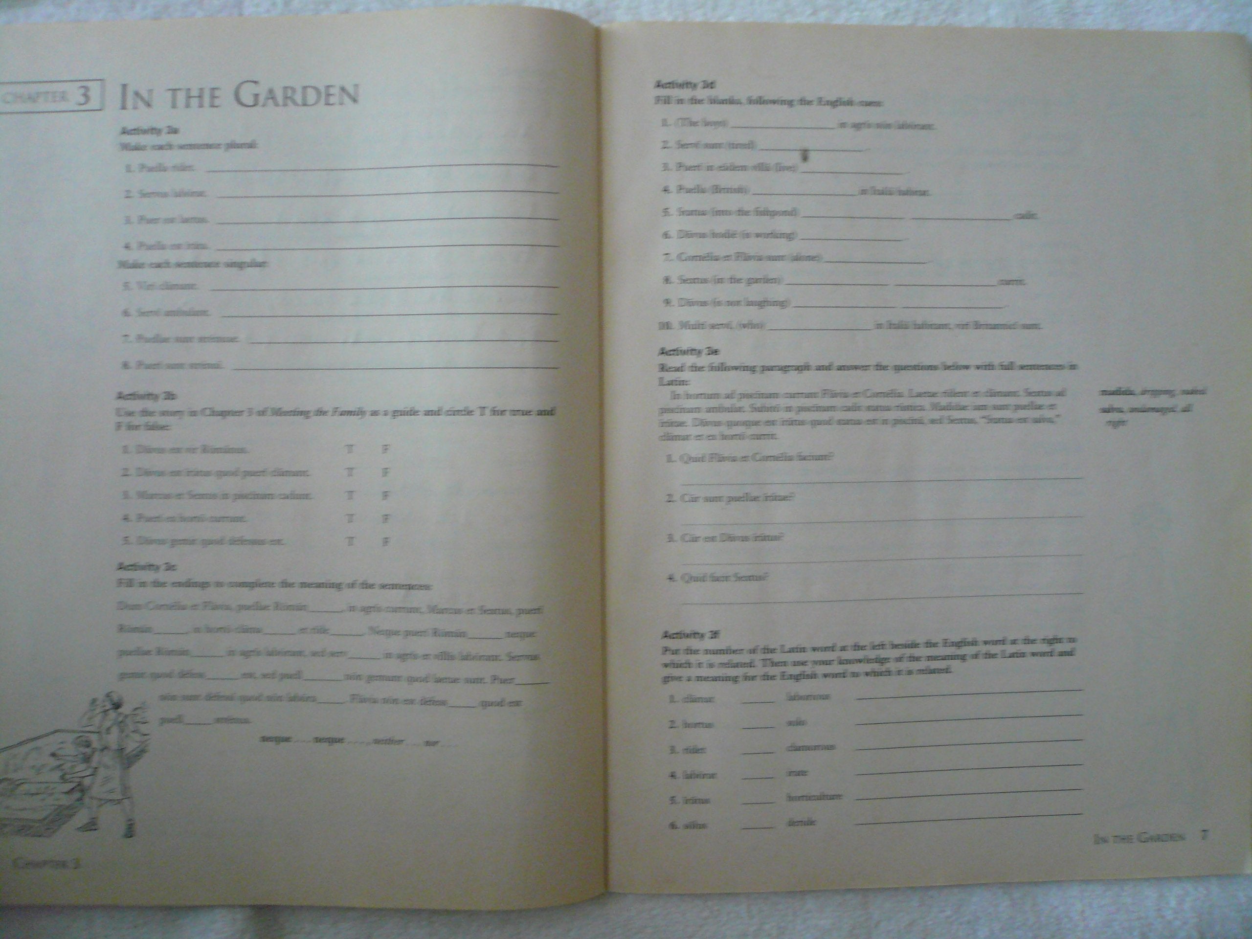Ecce Romani: Language Activity Book Student'S Edition : A Latin Reading Program : Ia Meeting The Family,Used