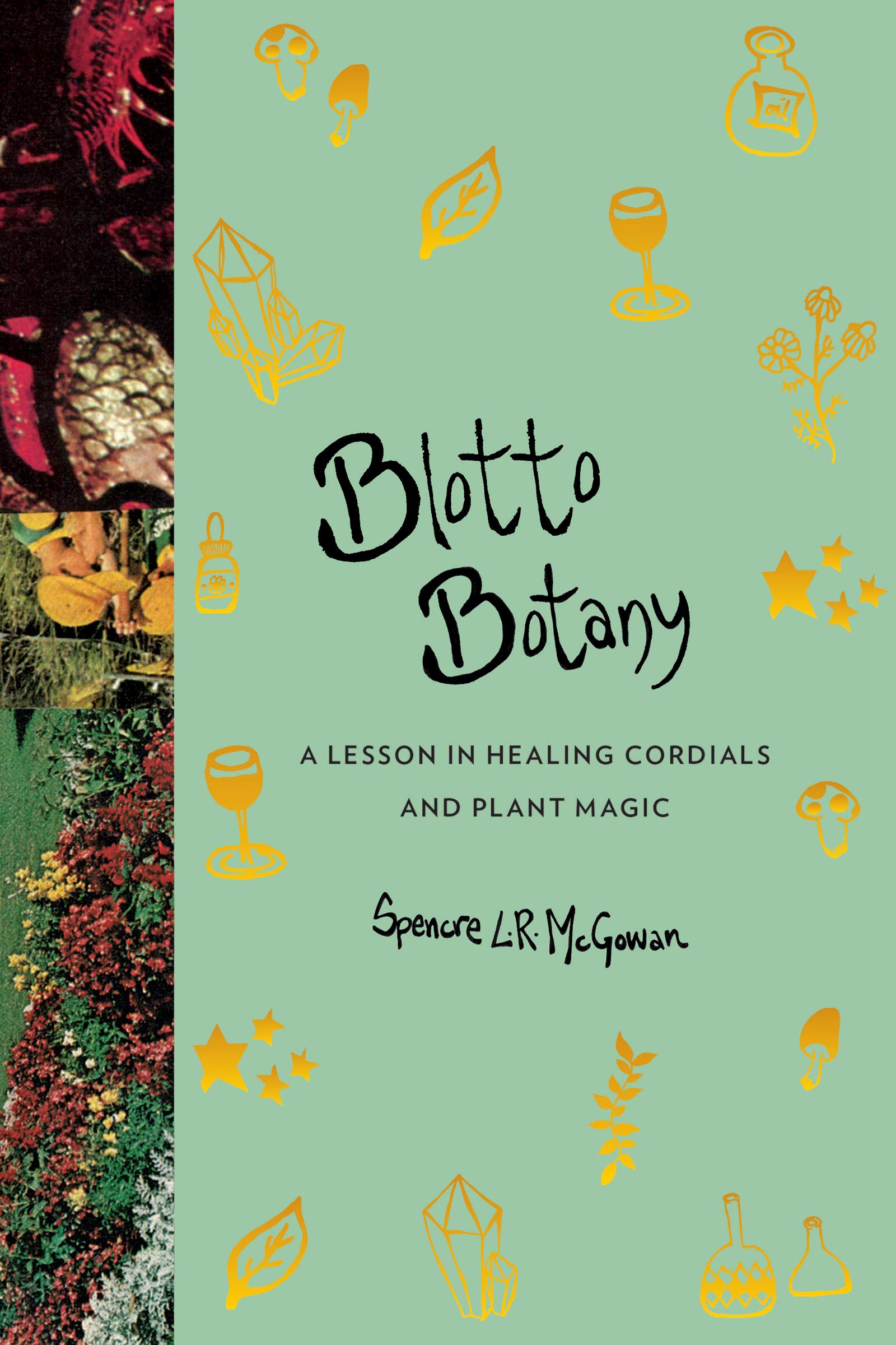Blotto Botany: A Lesson in Healing Cordials and Plant Magic,Used