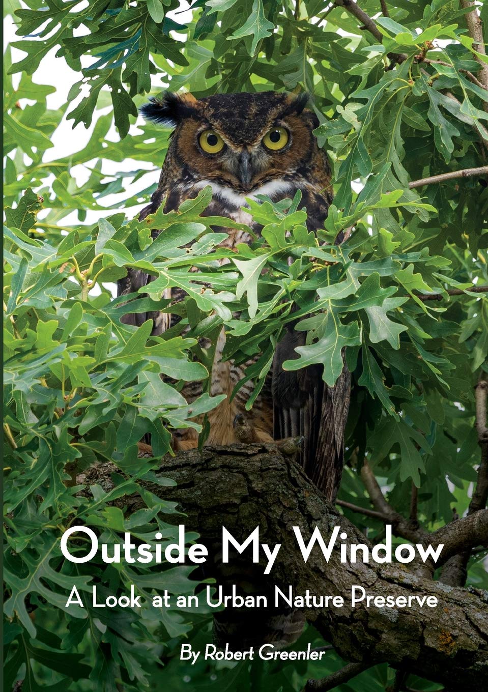 Outside My Window: A Look at an Urban Nature Preserve,Used