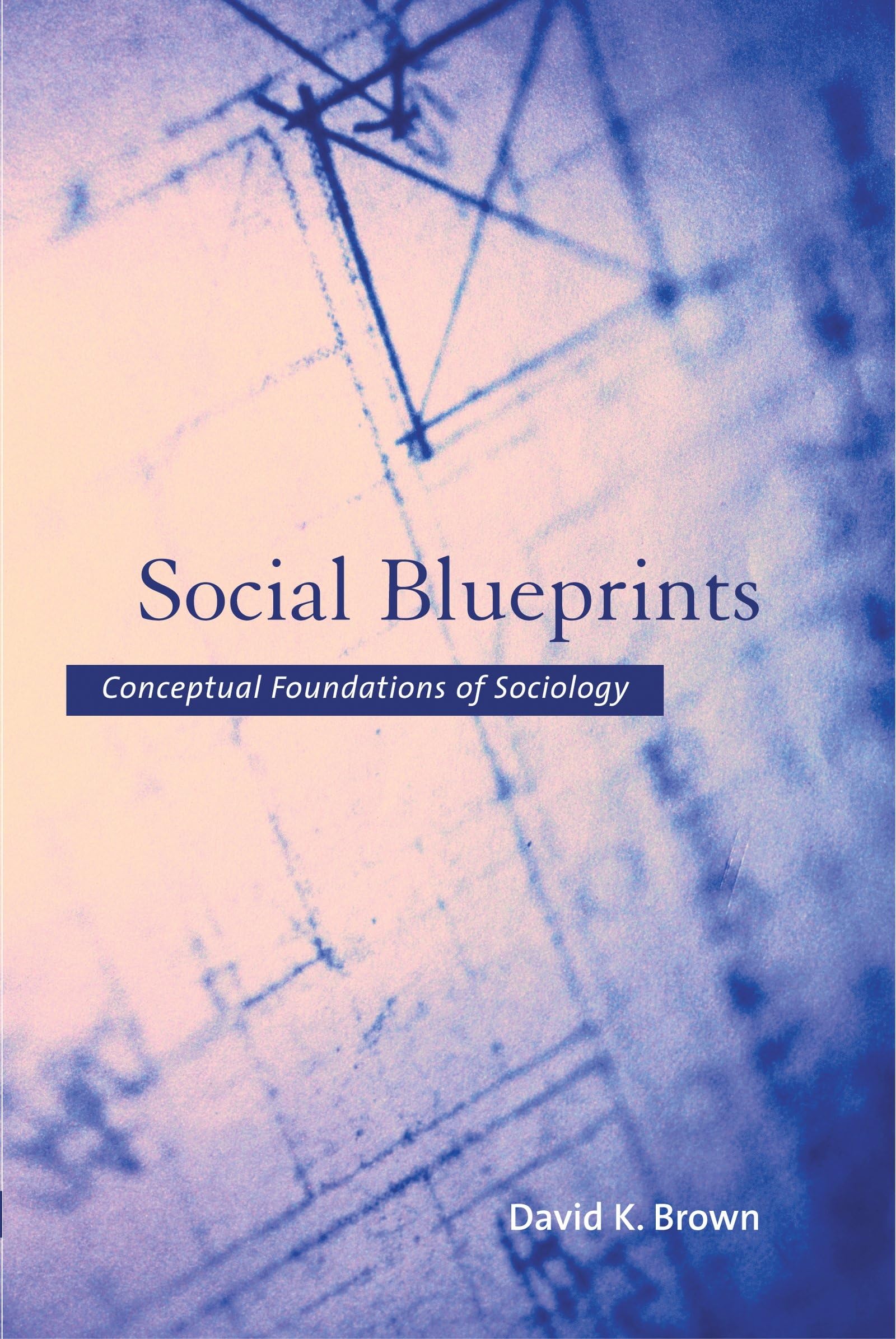 Social Blueprints: Conceptual Foundations Of Sociology,New
